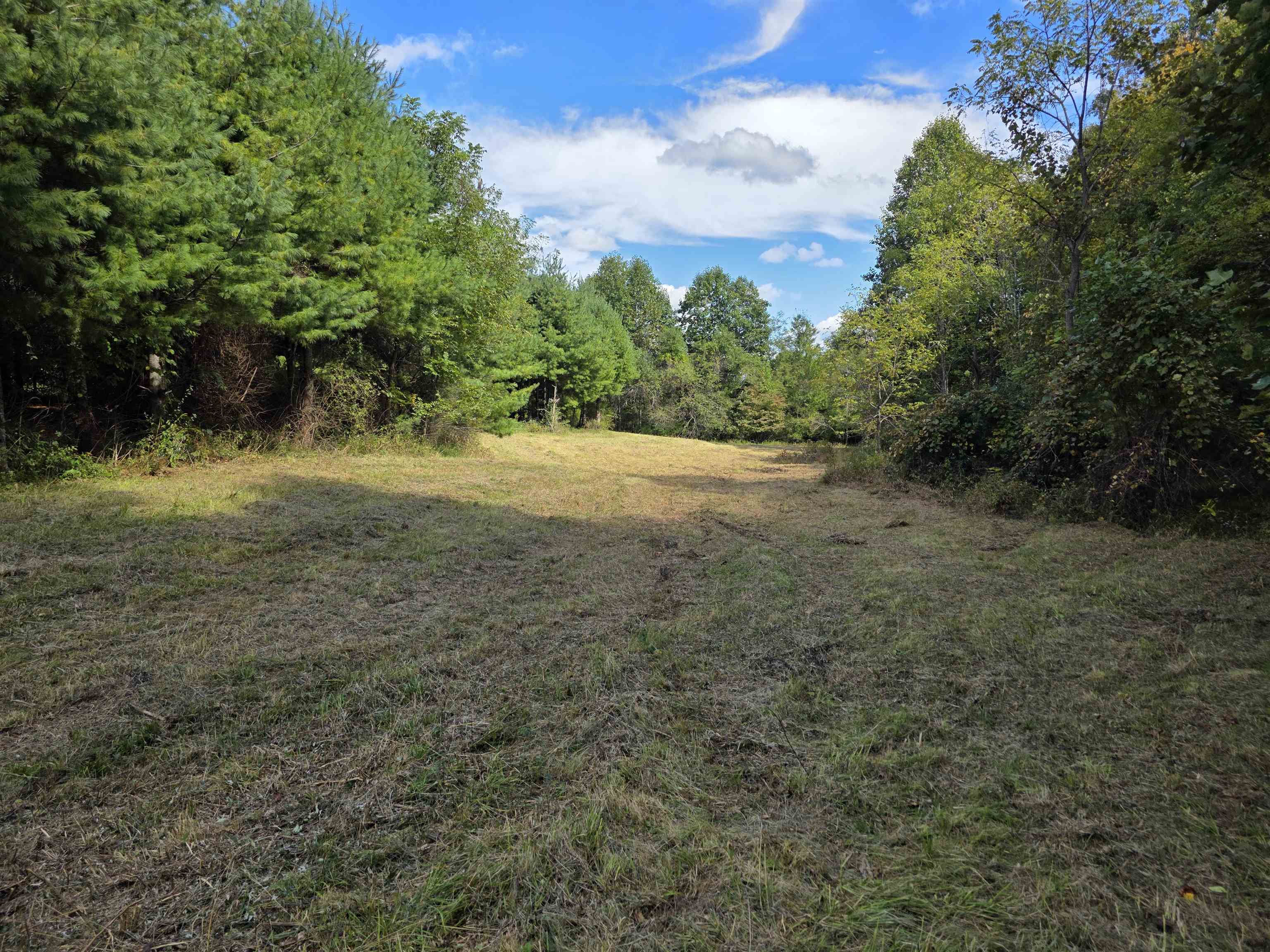 Tbd Ferney Creek Road Willis VA 24380