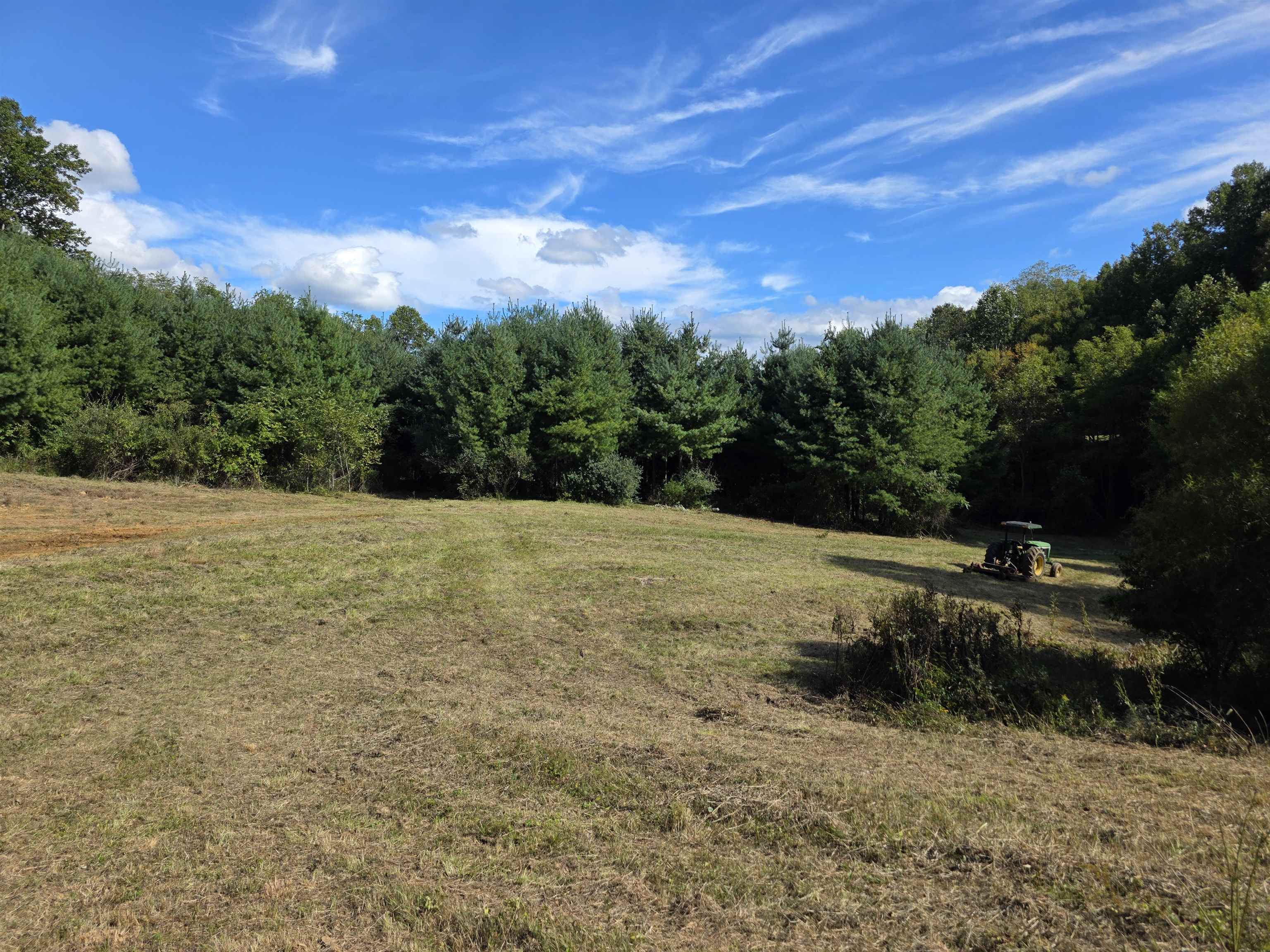 Tbd Ferney Creek Road Willis VA 24380