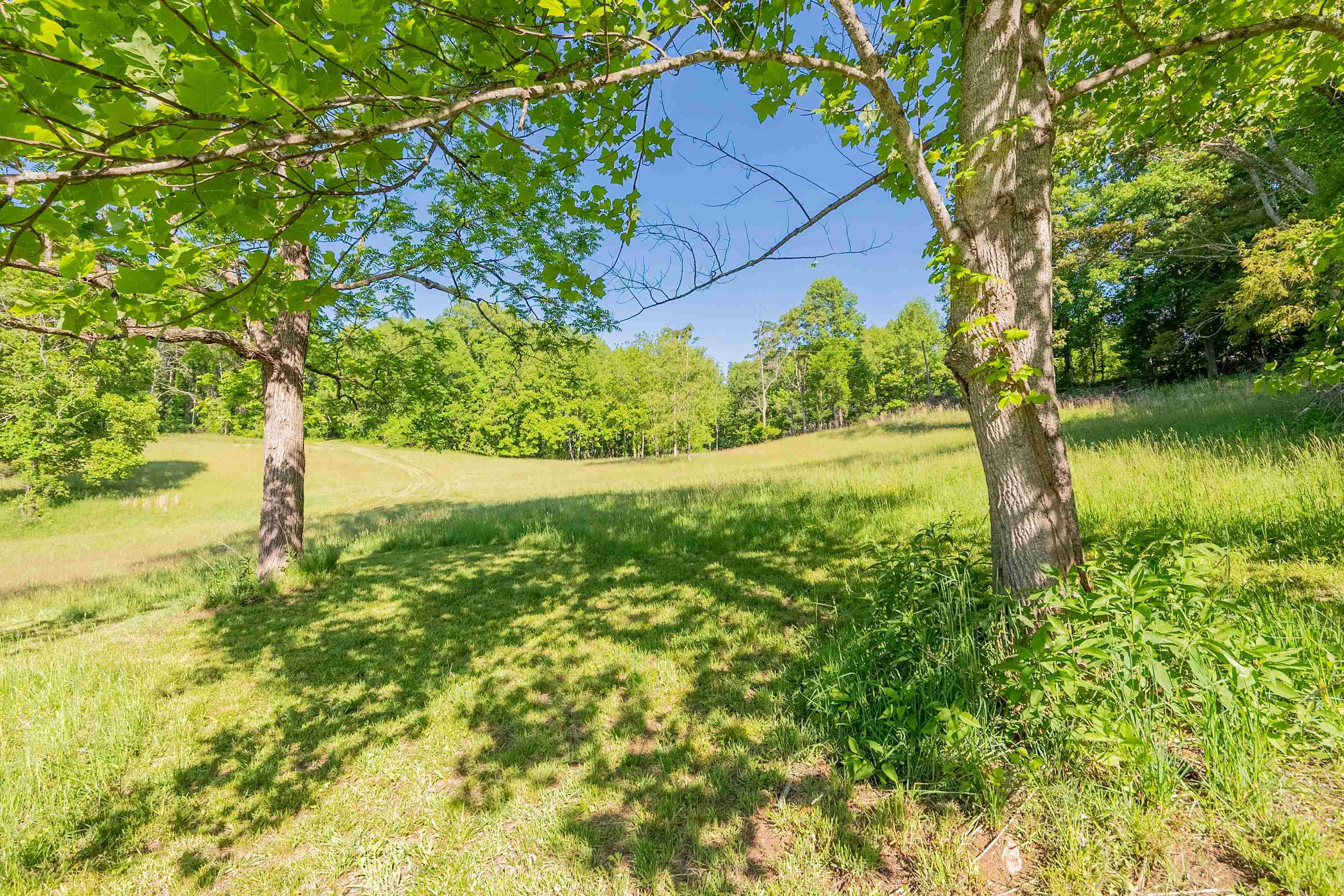 8730 Lee Drive NE Copper Hill VA 24079
