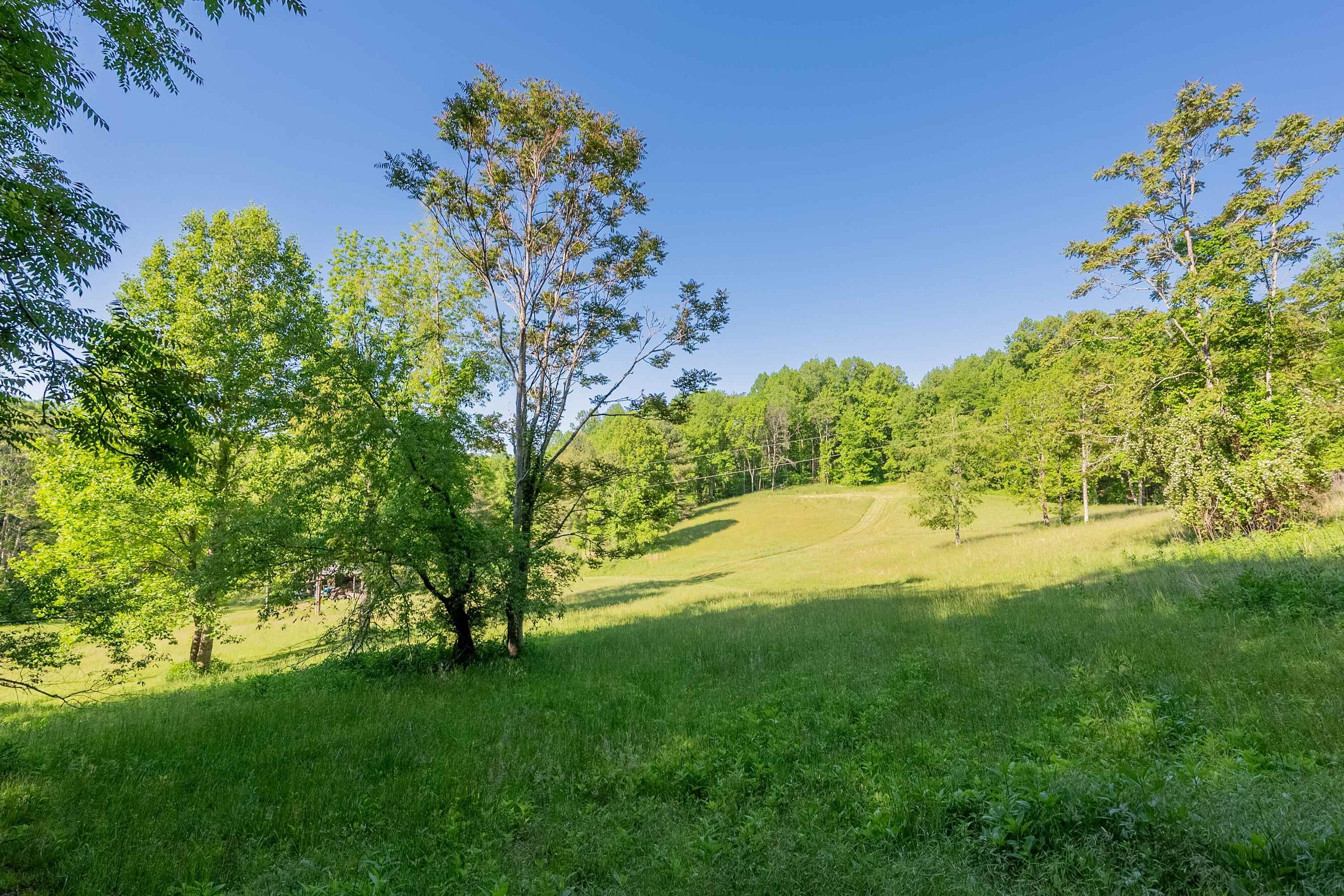 8730 Lee Drive NE Copper Hill VA 24079