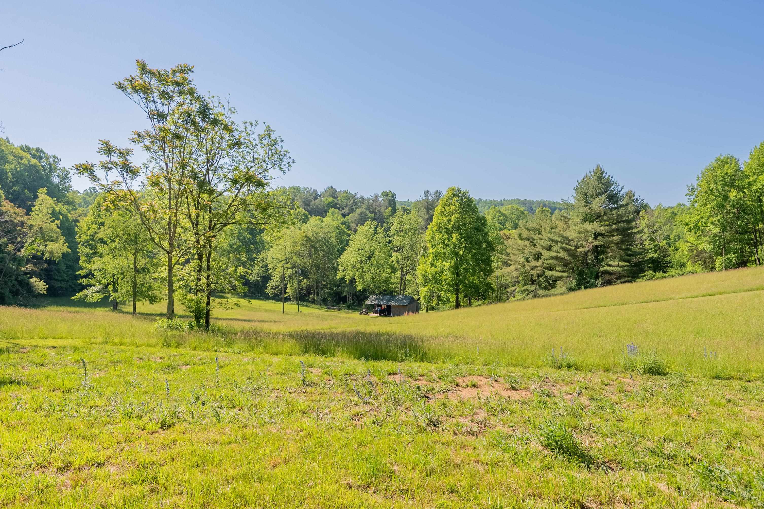 8730 Lee Drive NE Copper Hill VA 24079