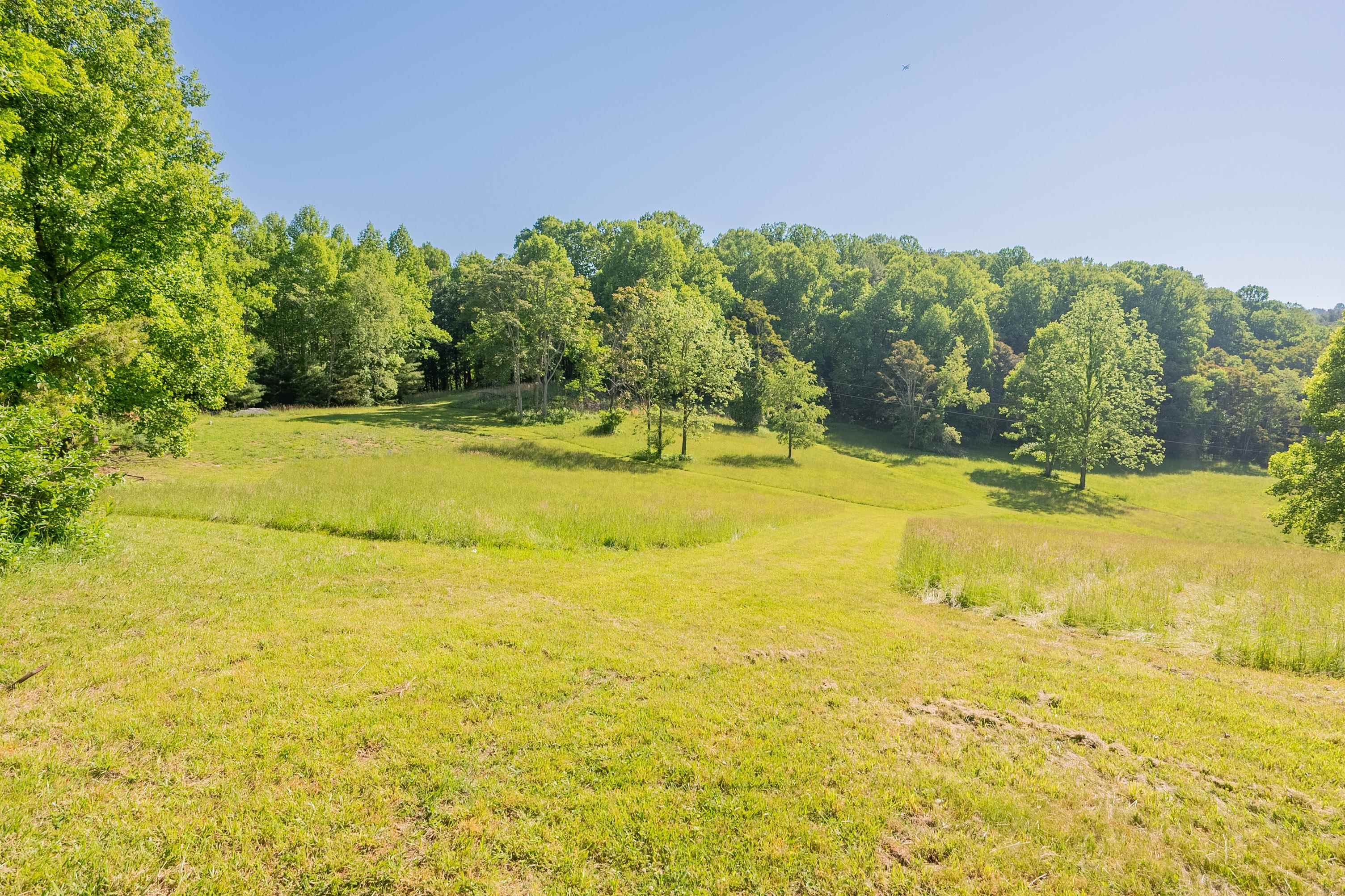 8730 Lee Drive NE Copper Hill VA 24079