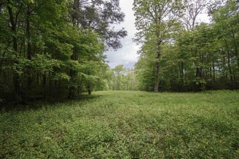 TBD Keno Road Laurel Fork VA 24352