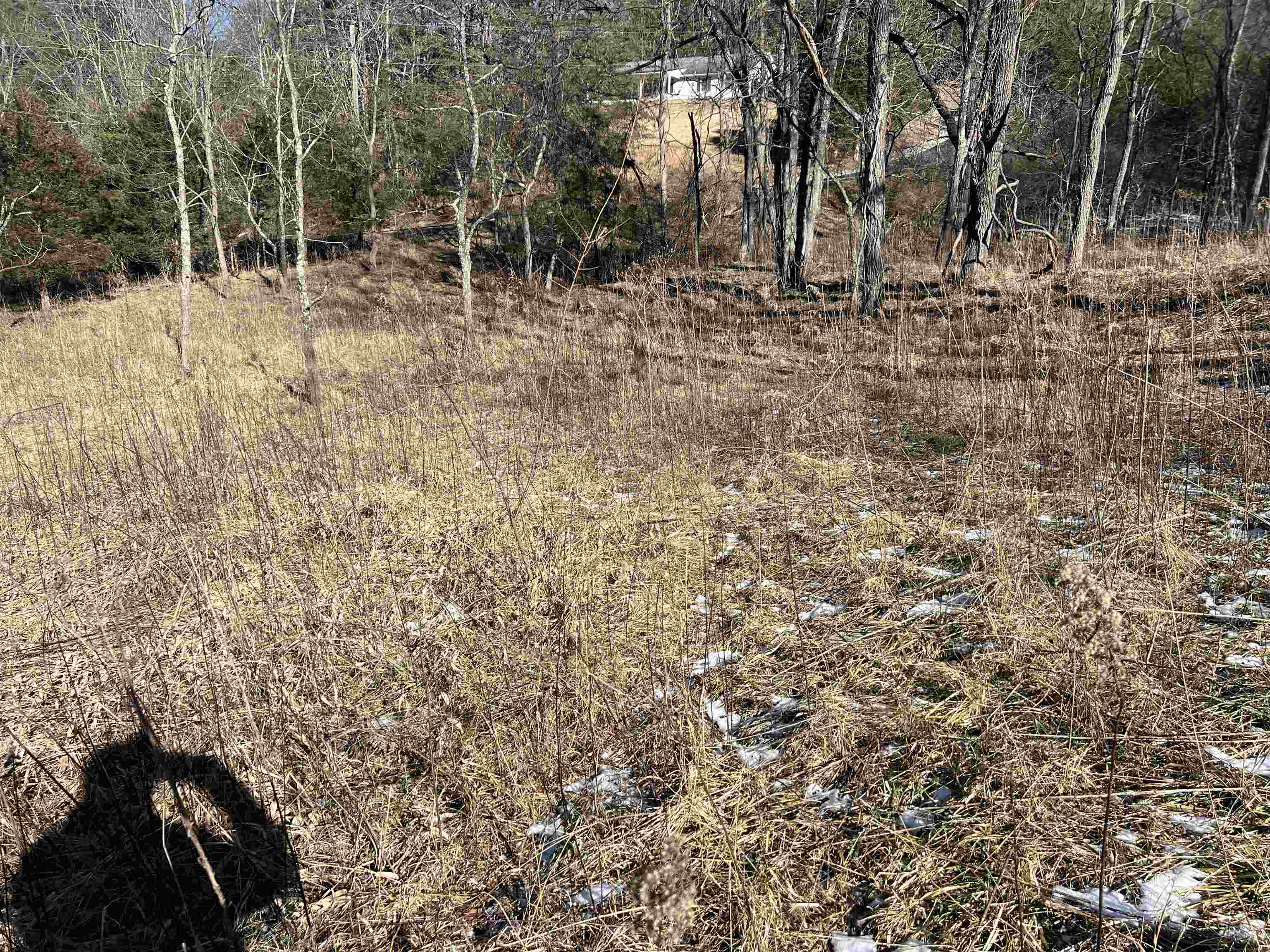 Tbd Pilot Road Christiansburg VA 24073