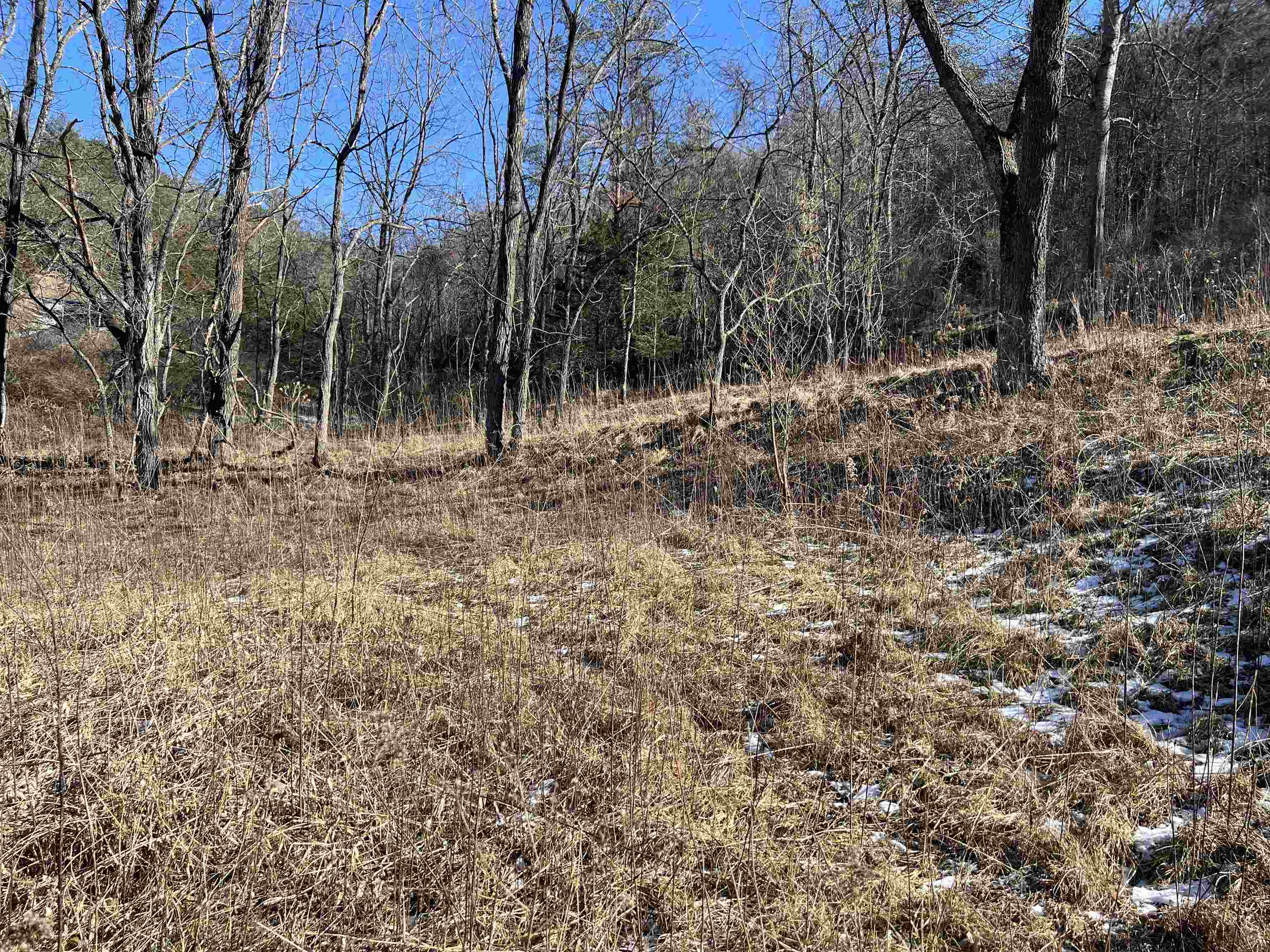 Tbd Pilot Road Christiansburg VA 24073