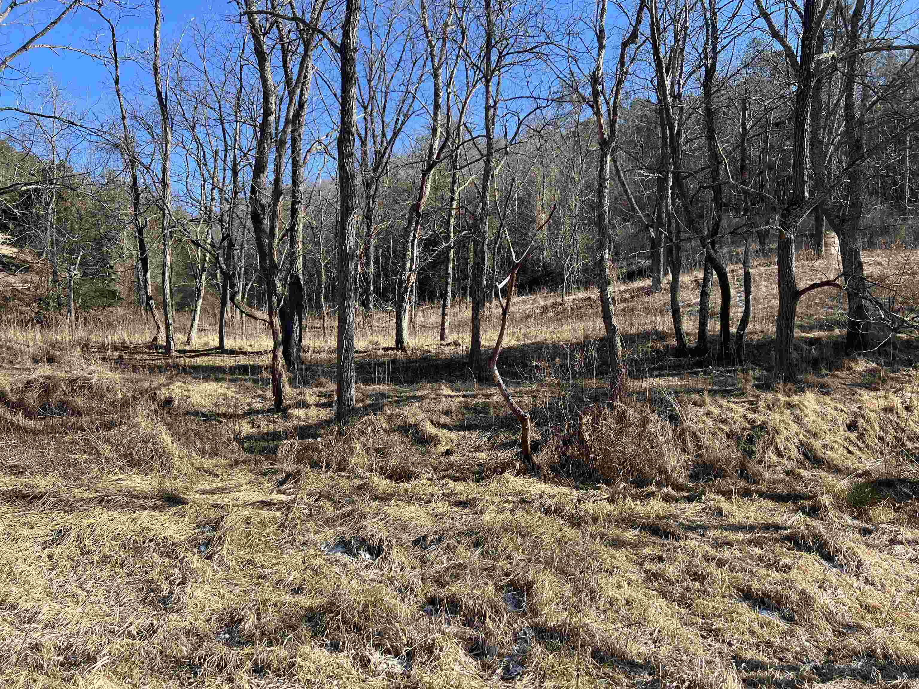 Tbd Pilot Road Christiansburg VA 24073