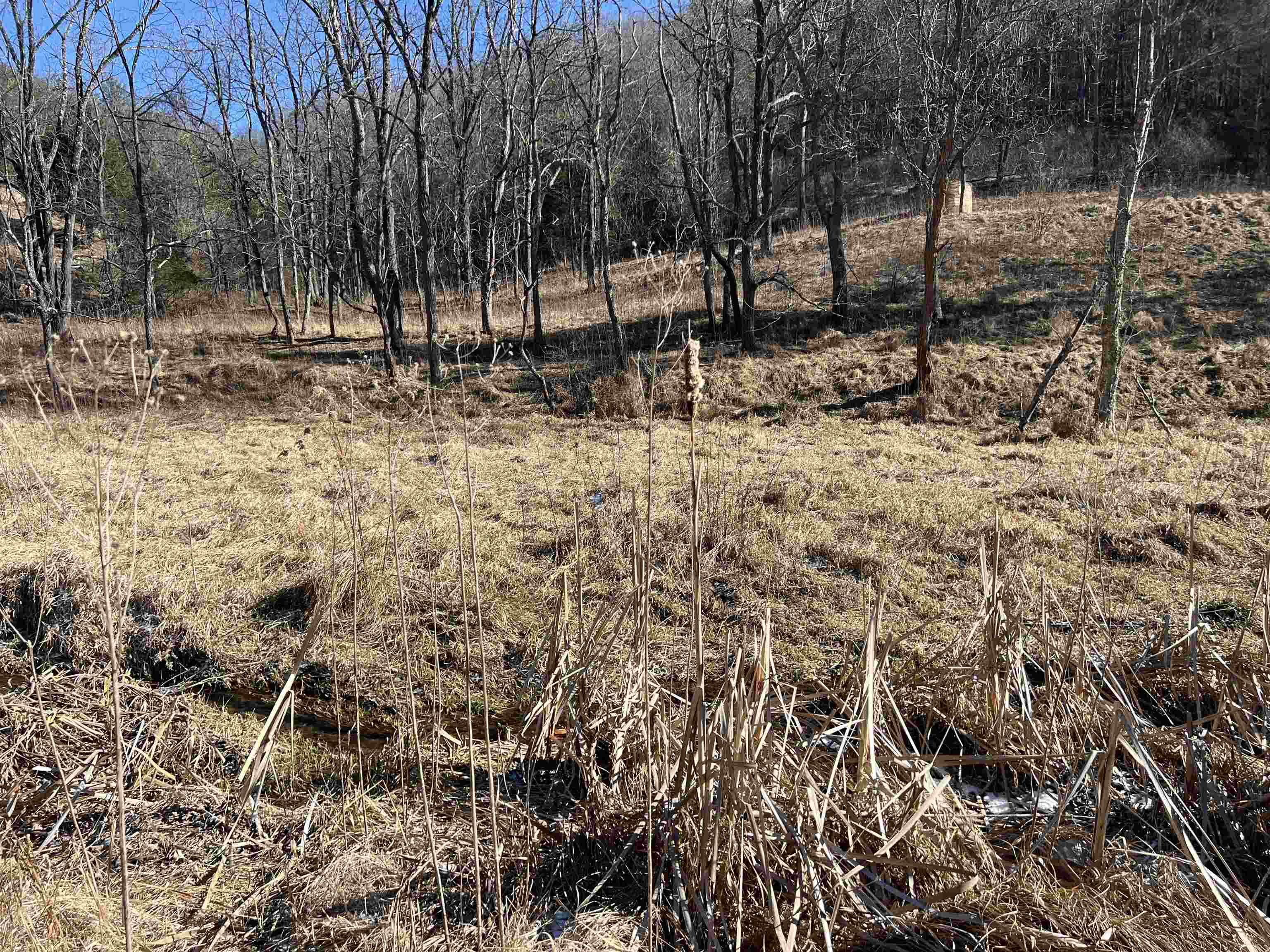 Tbd Pilot Road Christiansburg VA 24073