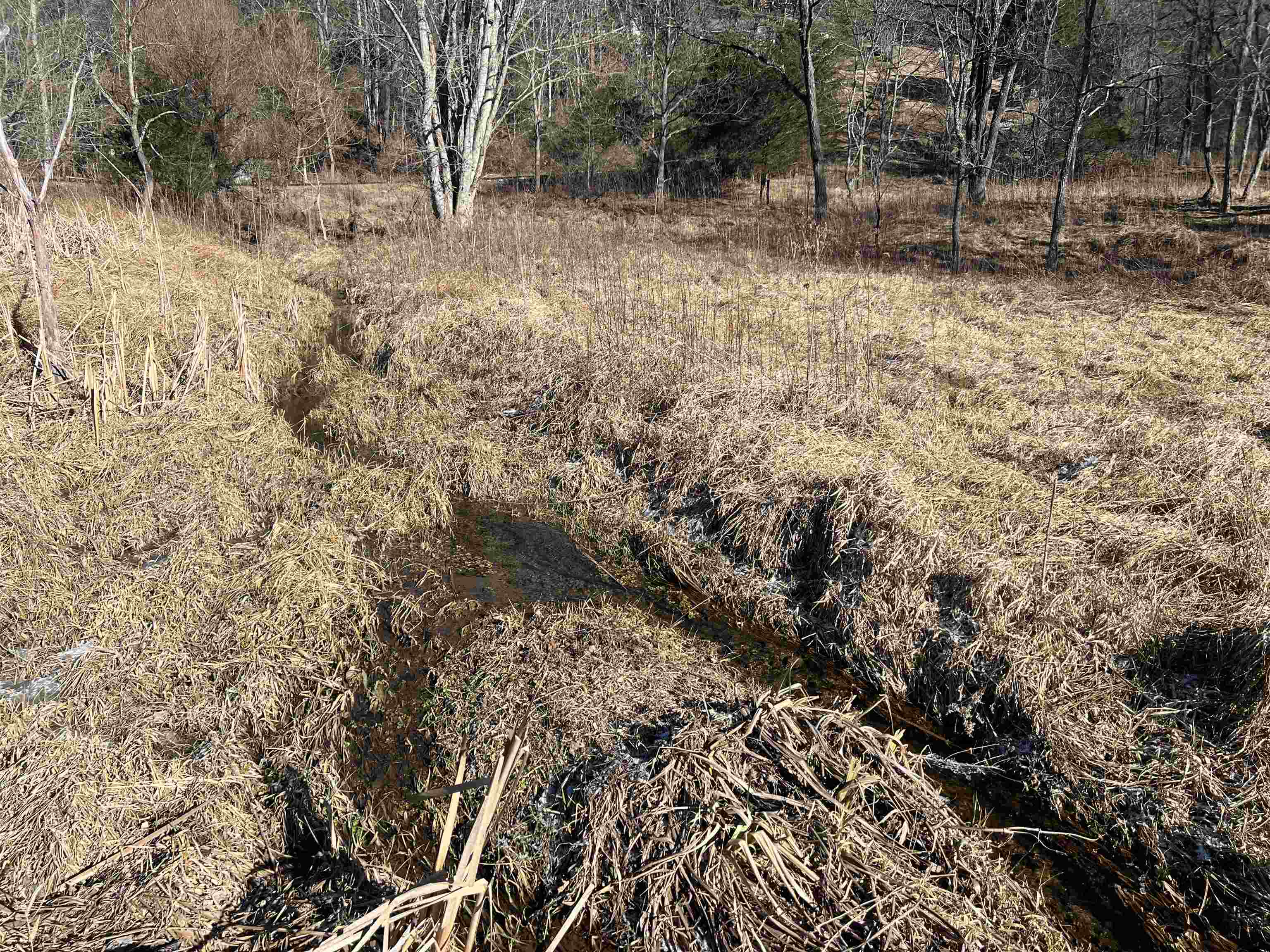 Tbd Pilot Road Christiansburg VA 24073