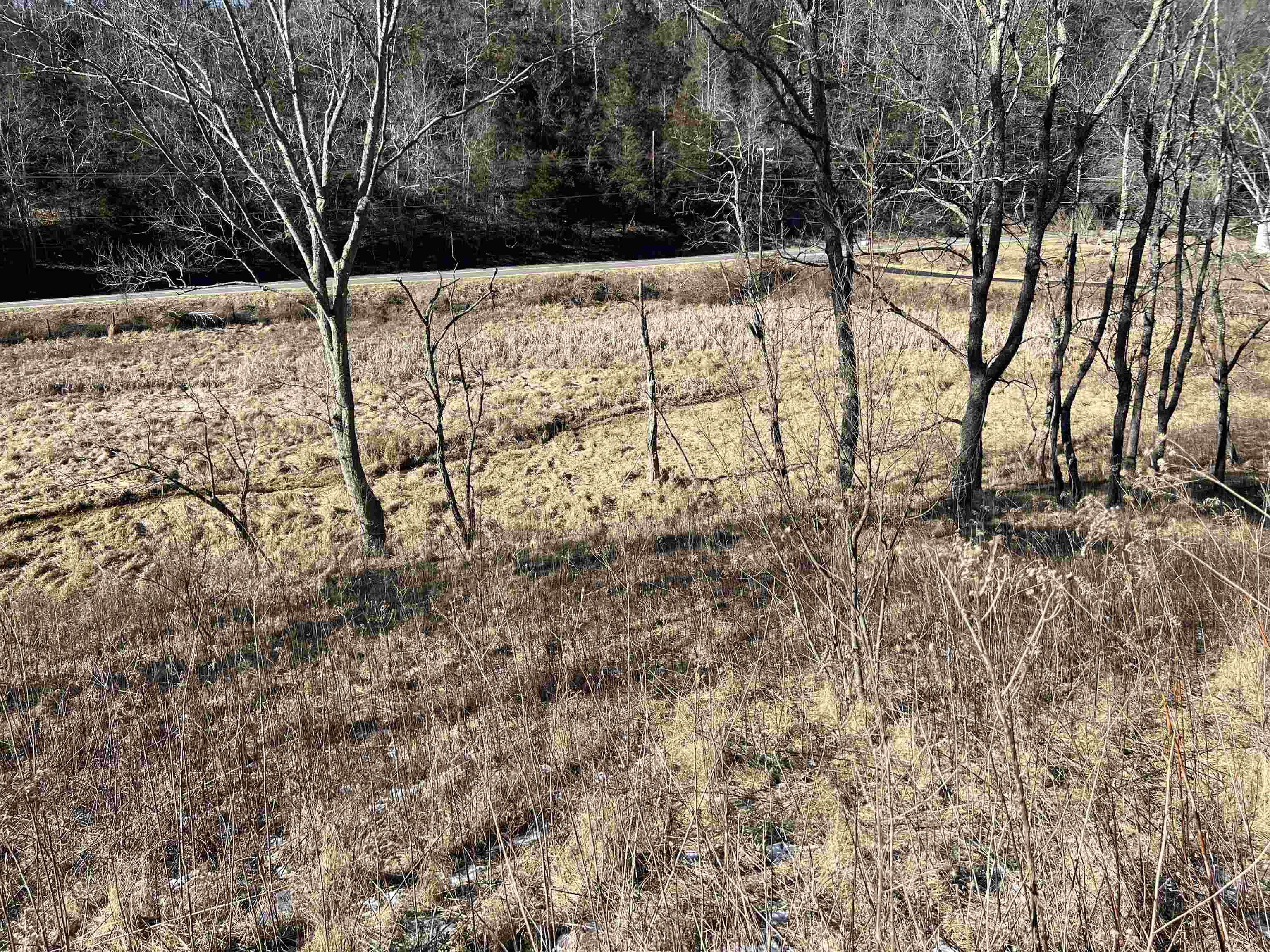 Tbd Pilot Road Christiansburg VA 24073