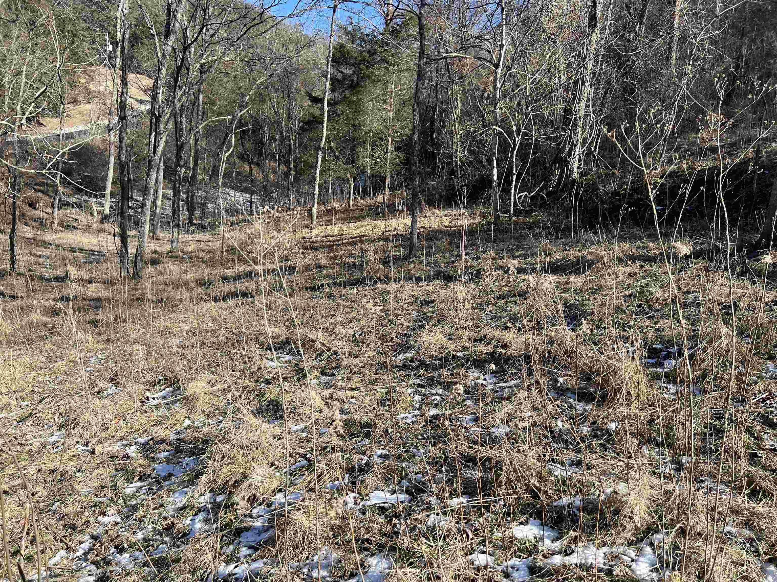 Tbd Pilot Road Christiansburg VA 24073