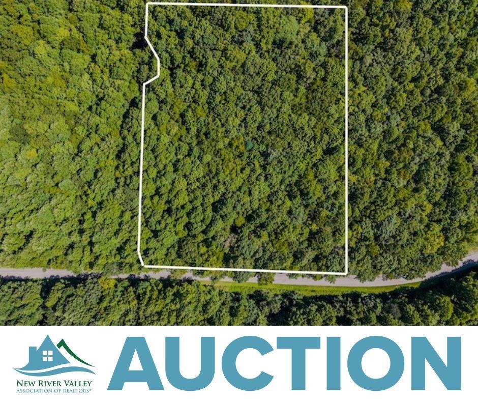 Lot 3 Phadettia Road Willis VA 24380