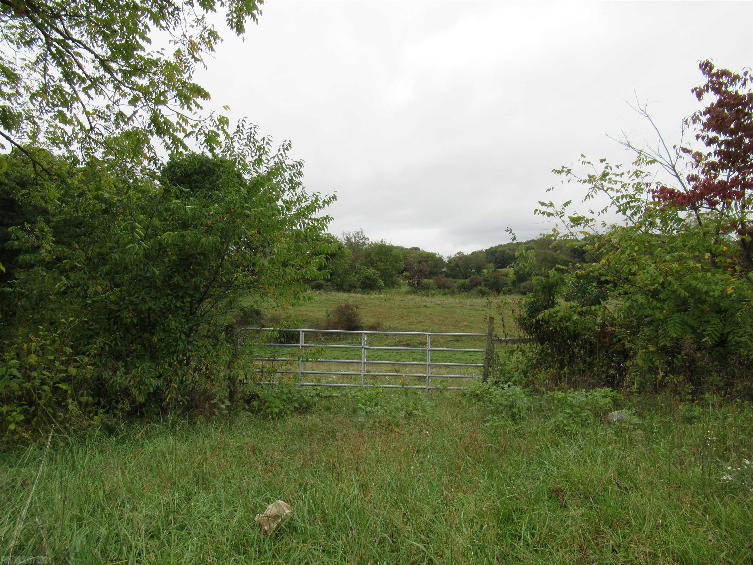 Tbd Cleburne Boulevard Dublin VA 24084