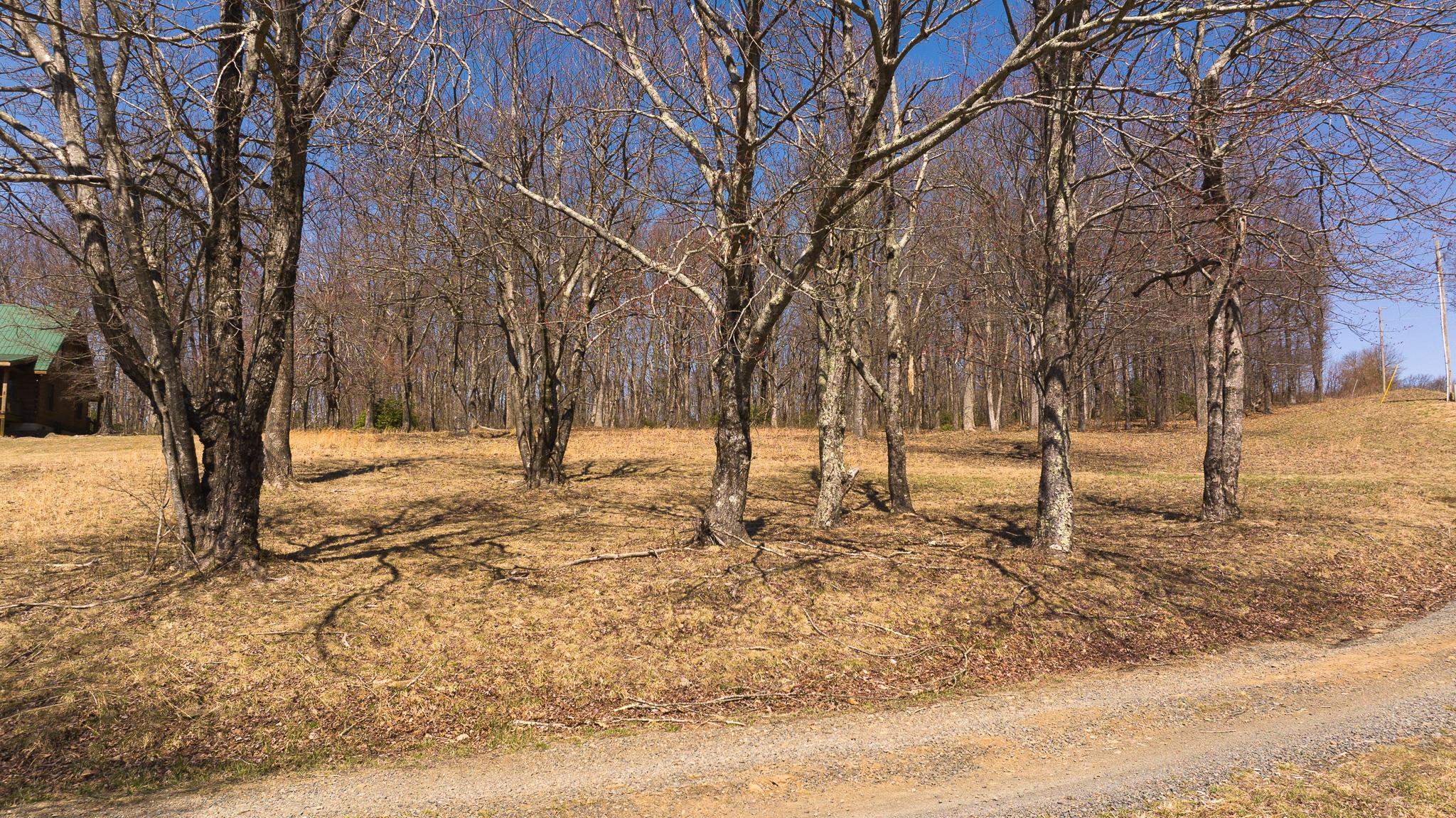 Tbd Grandview Drive Meadows Of Dan VA 24120