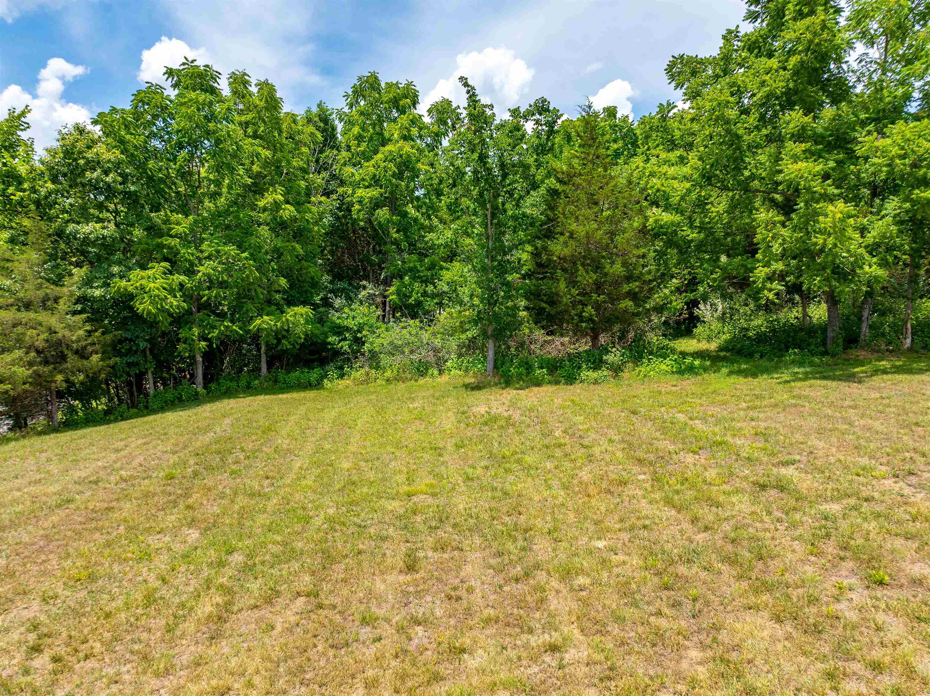 Lot 1 River Ridge Drive Pearisburg VA 24134