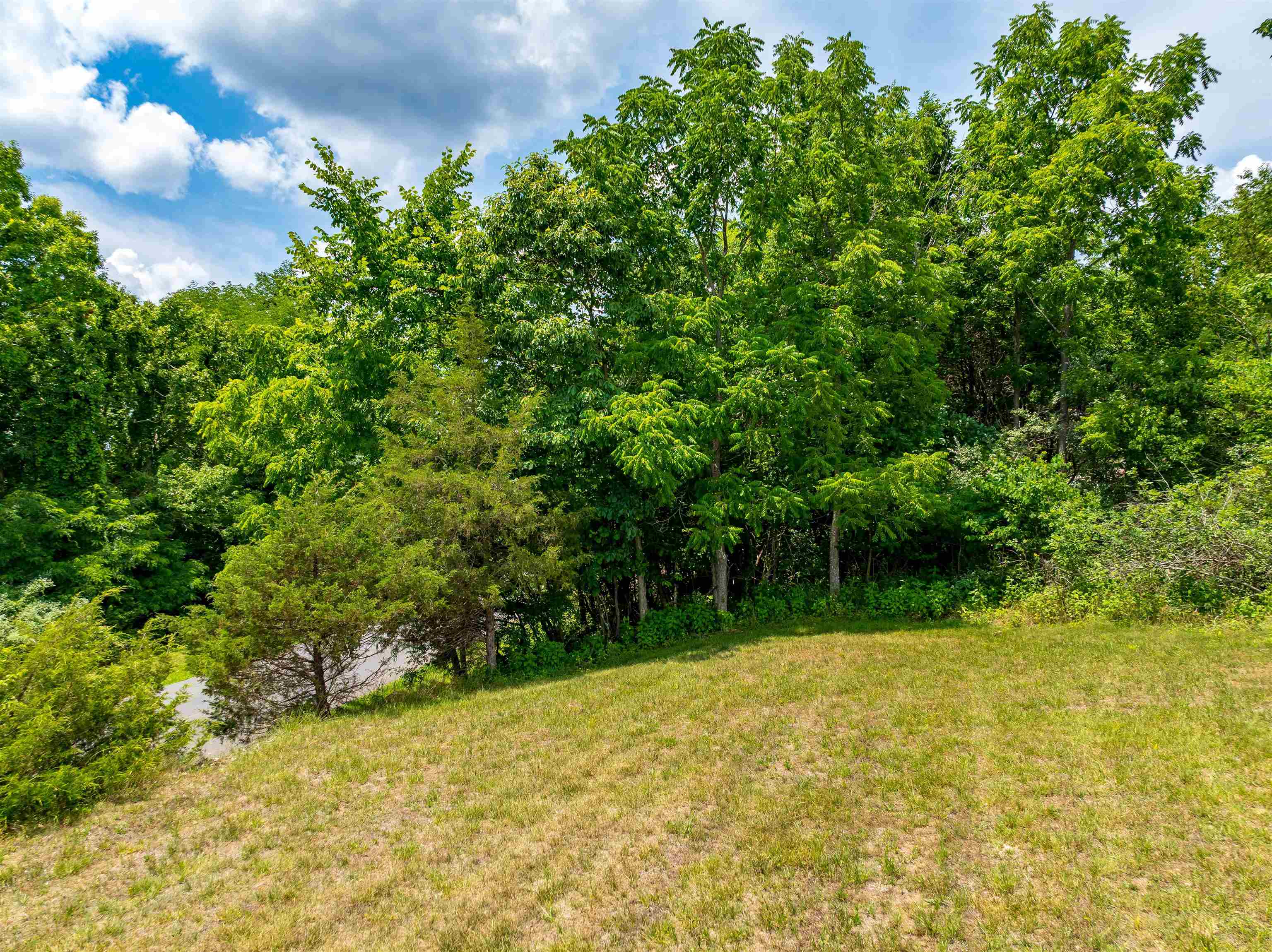 Lot 1 River Ridge Drive Pearisburg VA 24134