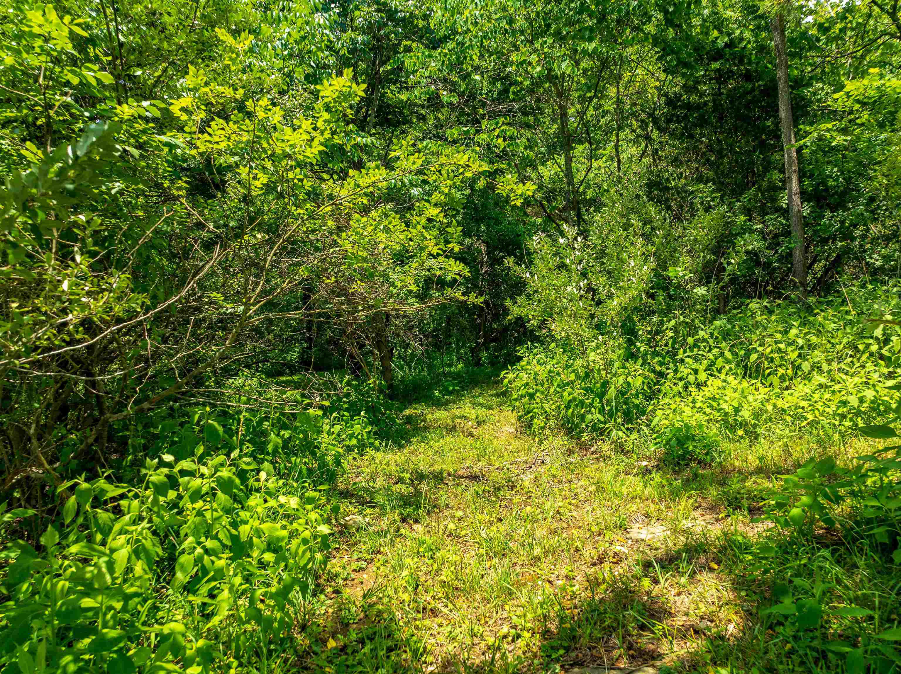 Lot 1 River Ridge Drive Pearisburg VA 24134