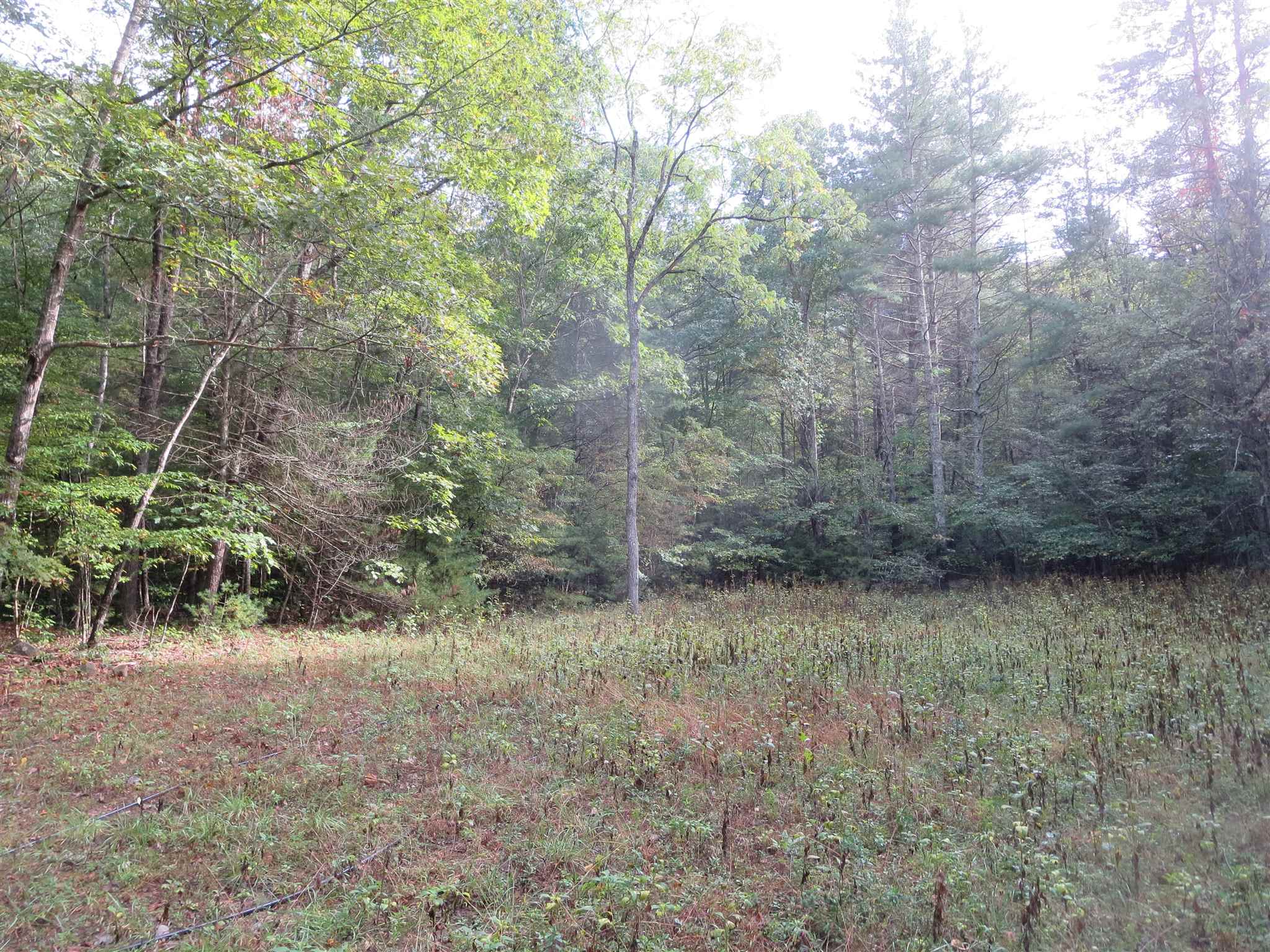 Tbd Simpkinstown Road Hiwassee VA 24347