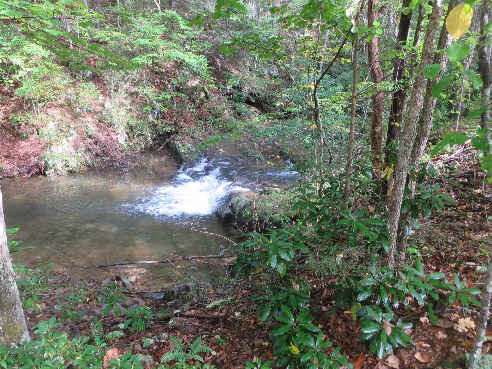 Tbd Simpkinstown Road Hiwassee VA 24347