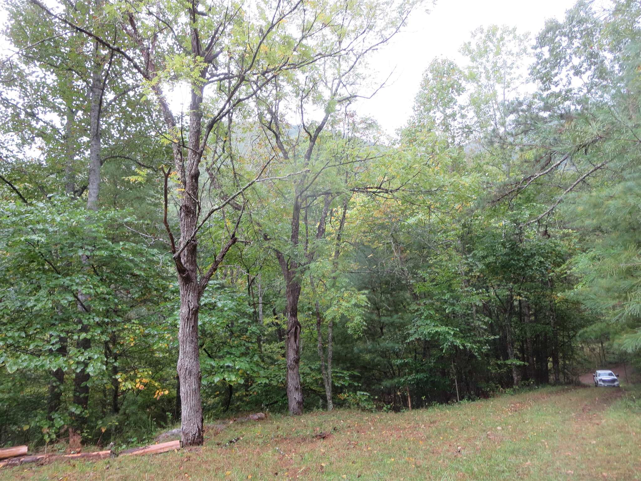 Tbd Simpkinstown Road Hiwassee VA 24347