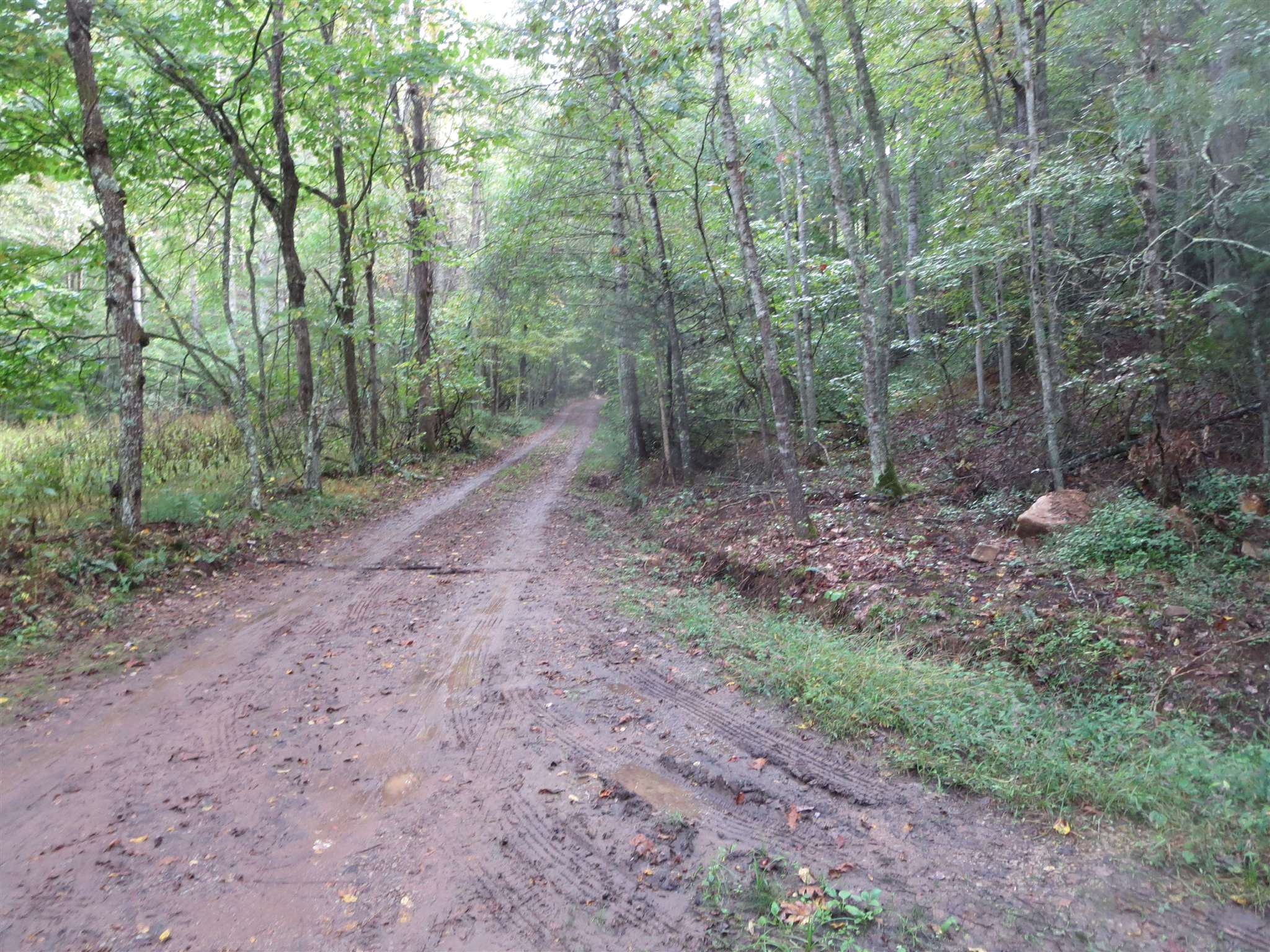 Tbd Simpkinstown Road Hiwassee VA 24347