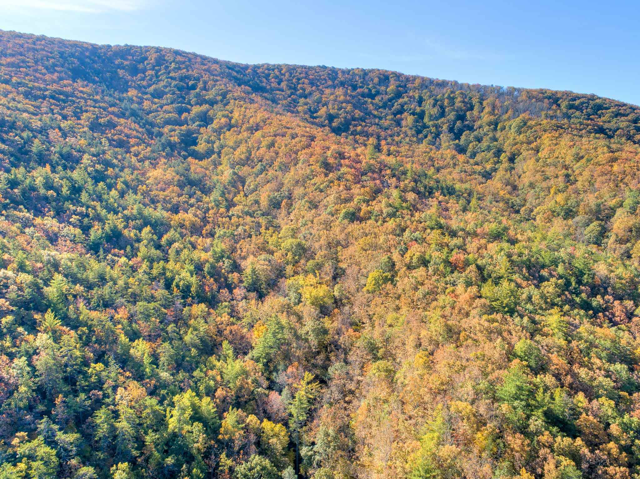 Tbd Simpkinstown Road Hiwassee VA 24347