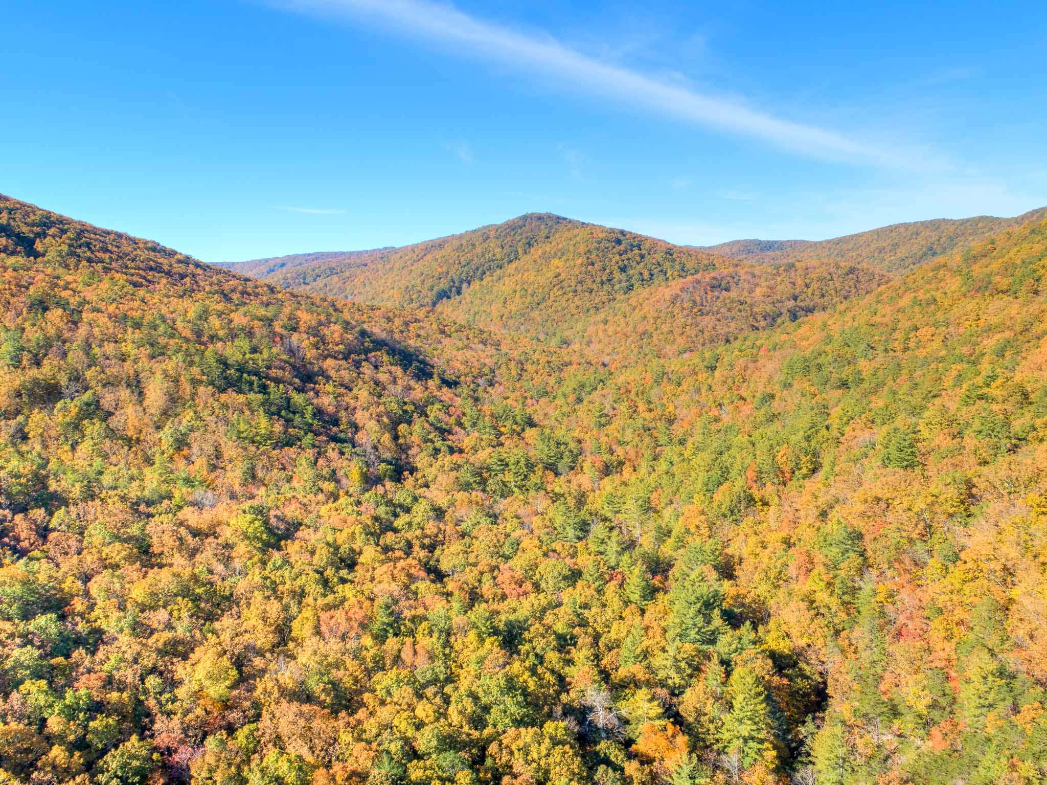 Tbd Simpkinstown Road Hiwassee VA 24347