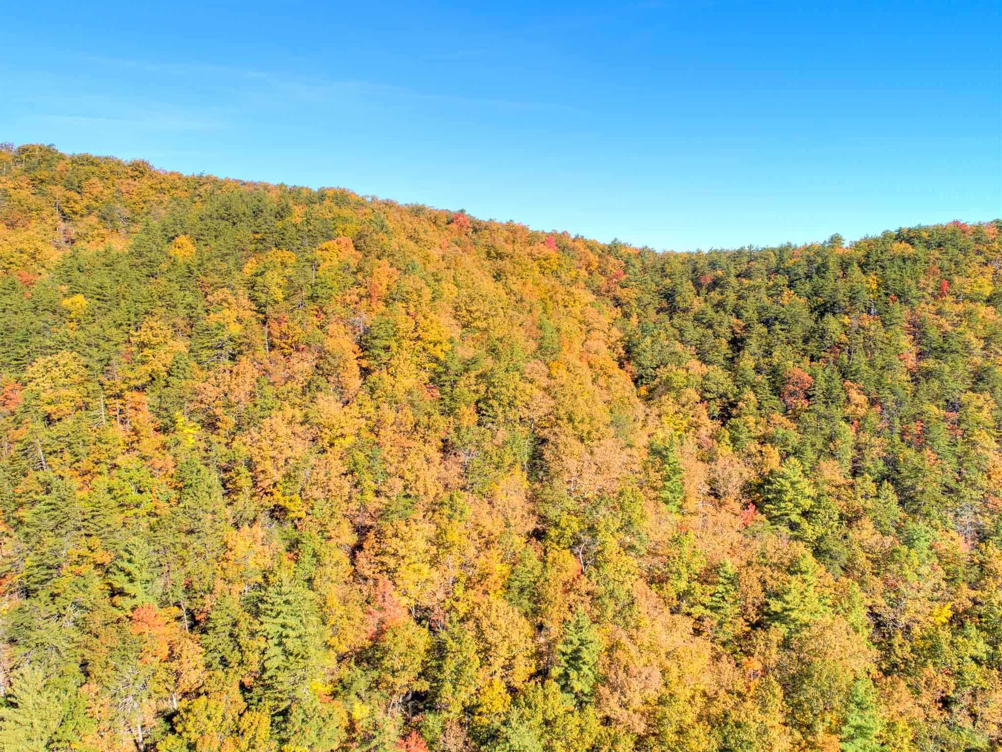 Tbd Simpkinstown Road Hiwassee VA 24347