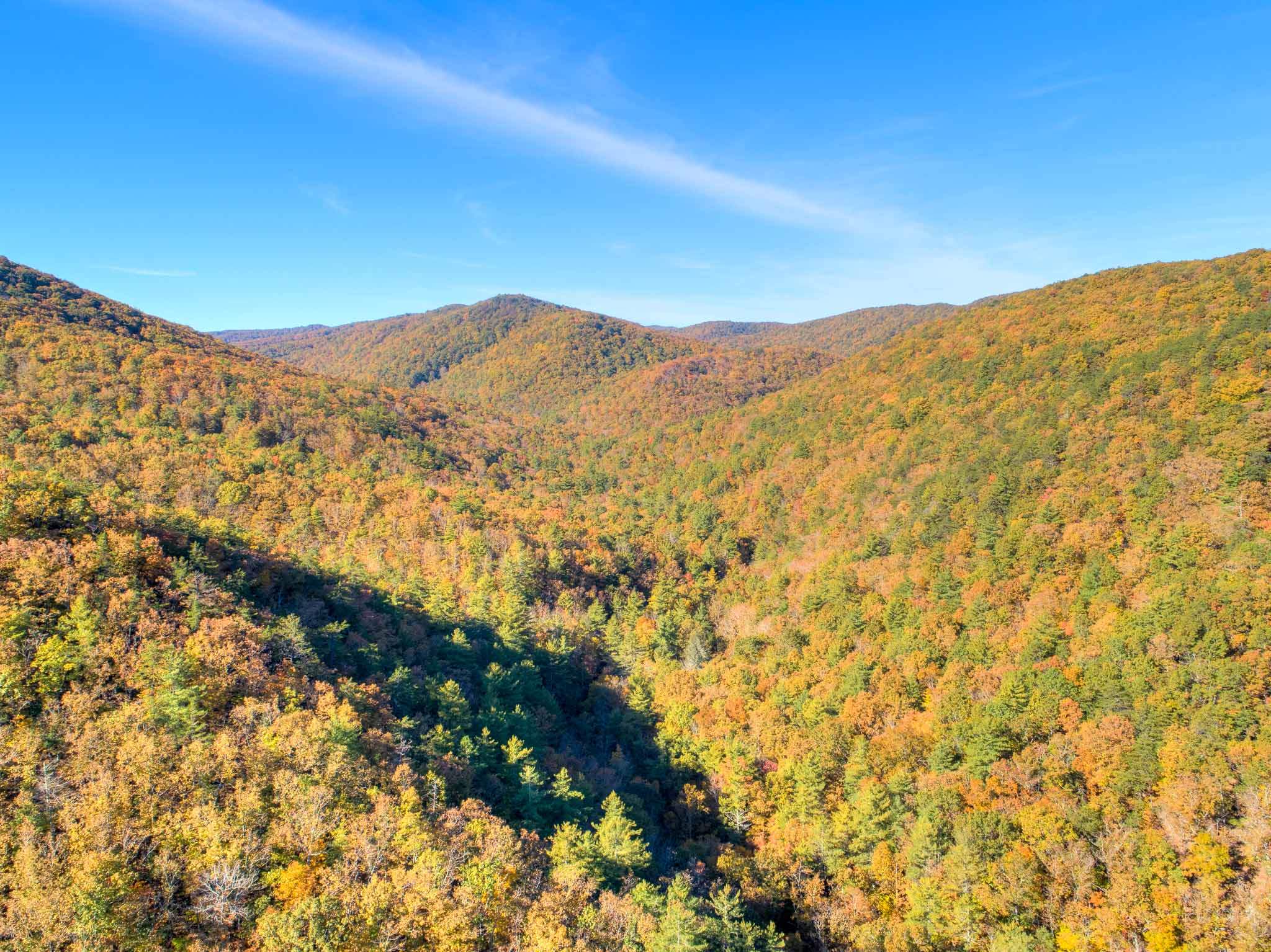 Tbd Simpkinstown Road Hiwassee VA 24347