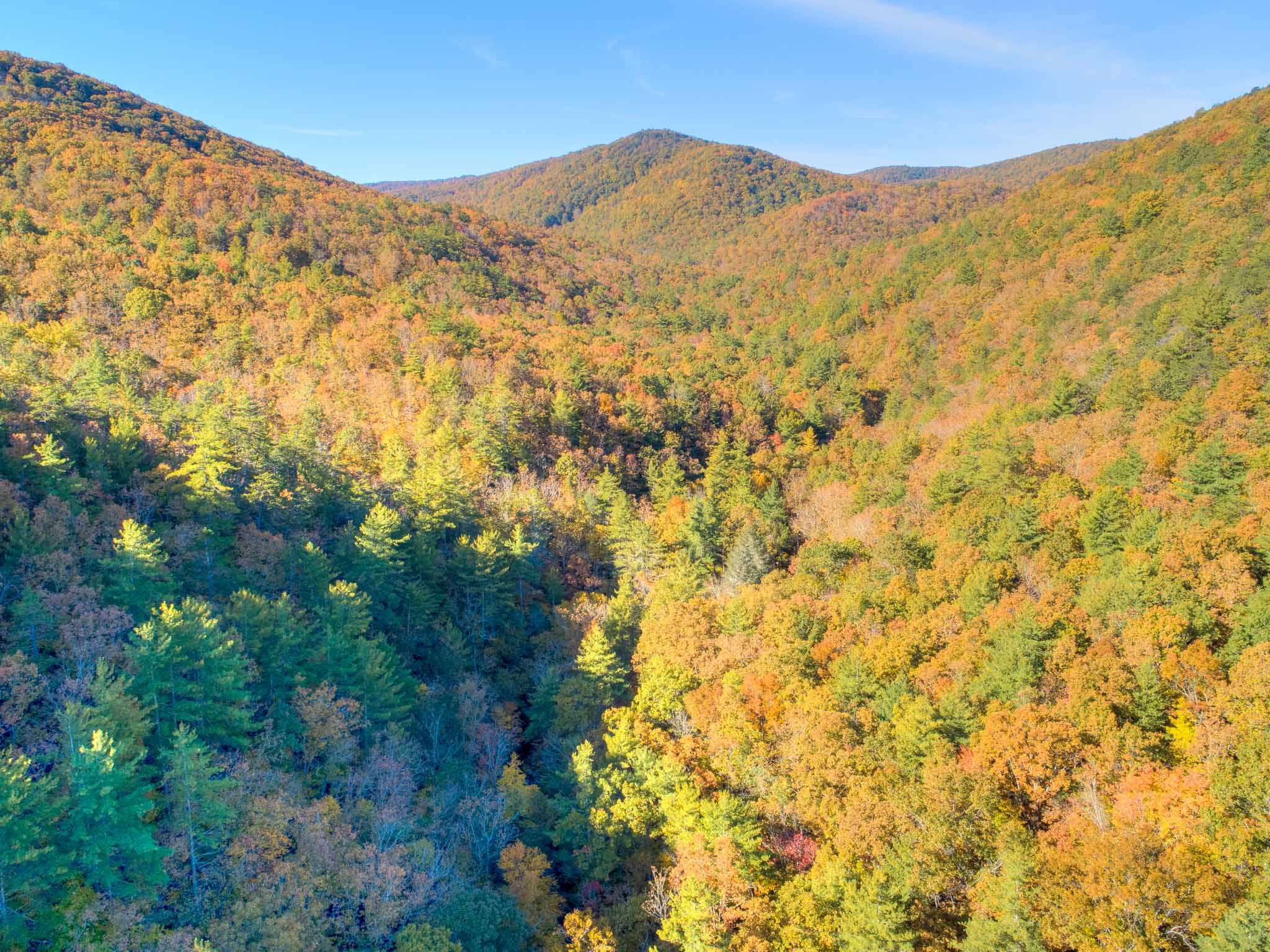 Tbd Simpkinstown Road Hiwassee VA 24347