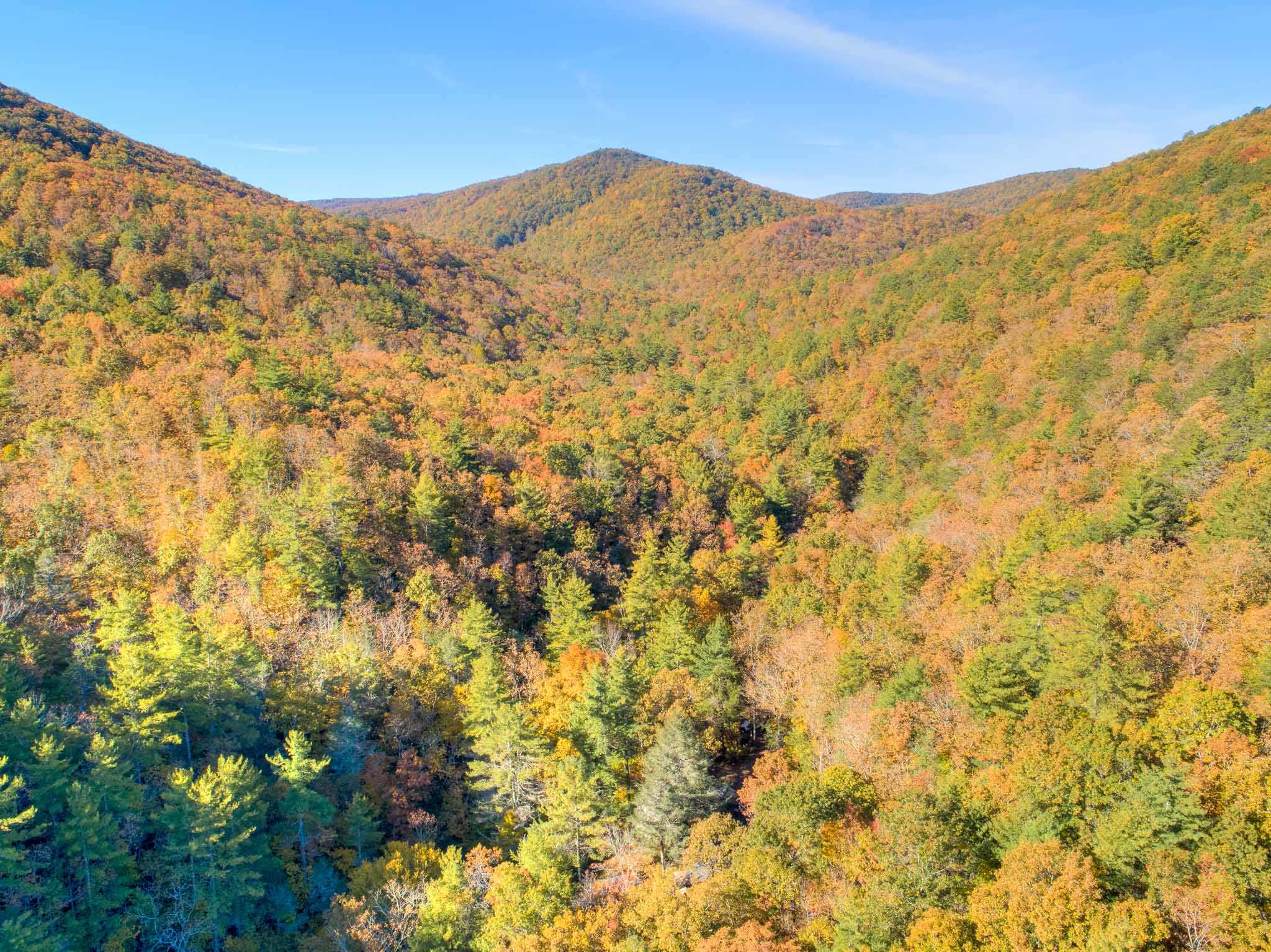 Tbd Simpkinstown Road Hiwassee VA 24347