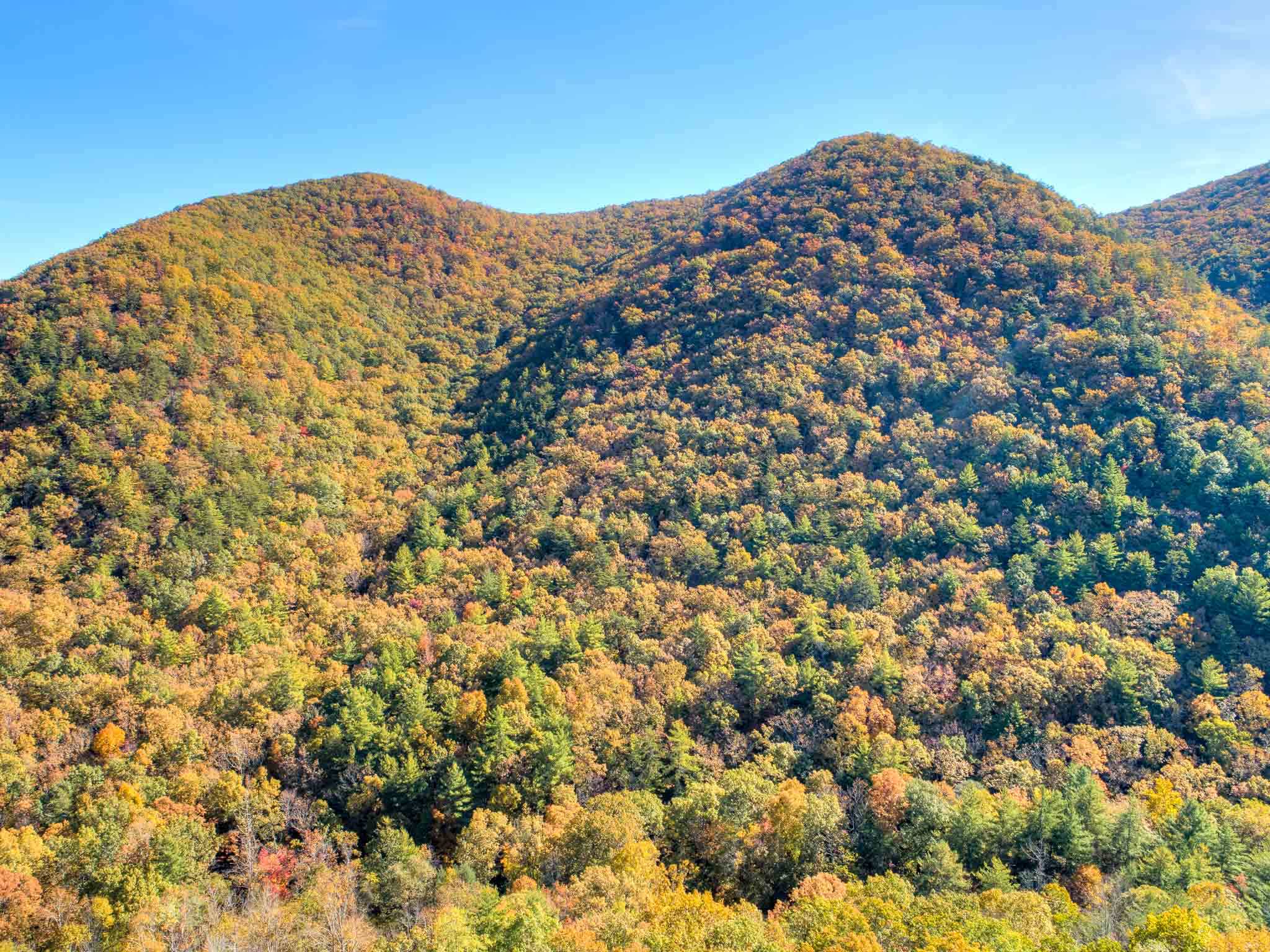 Tbd Simpkinstown Road Hiwassee VA 24347