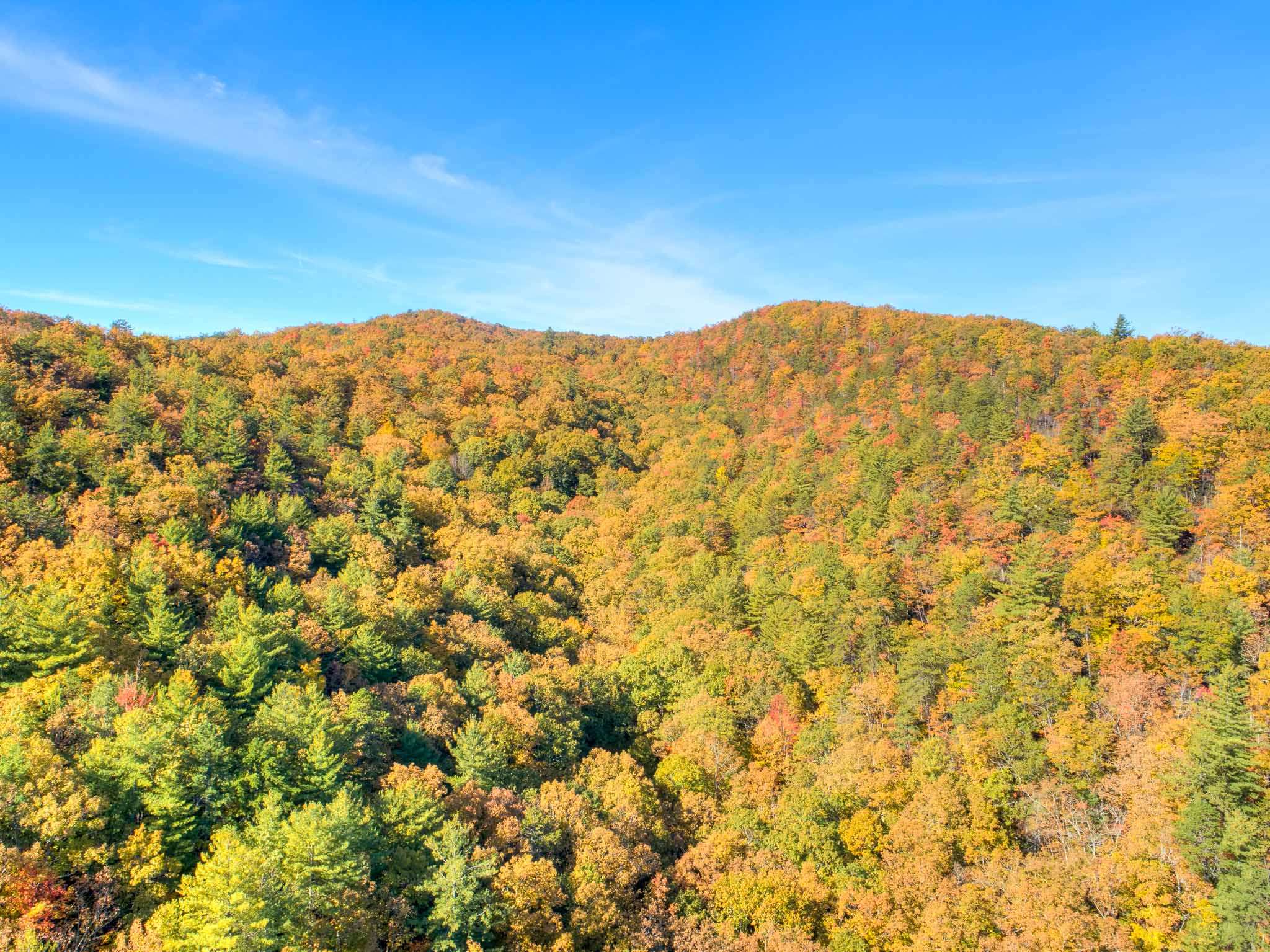 Tbd Simpkinstown Road Hiwassee VA 24347