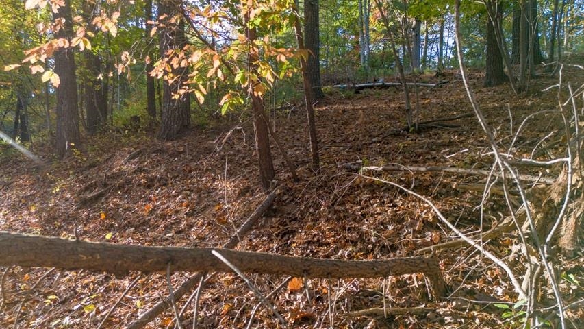 Tbd Winding Way Pulaski VA 24301