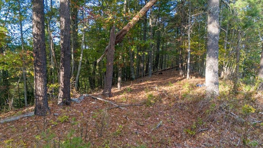 Tbd Winding Way Pulaski VA 24301