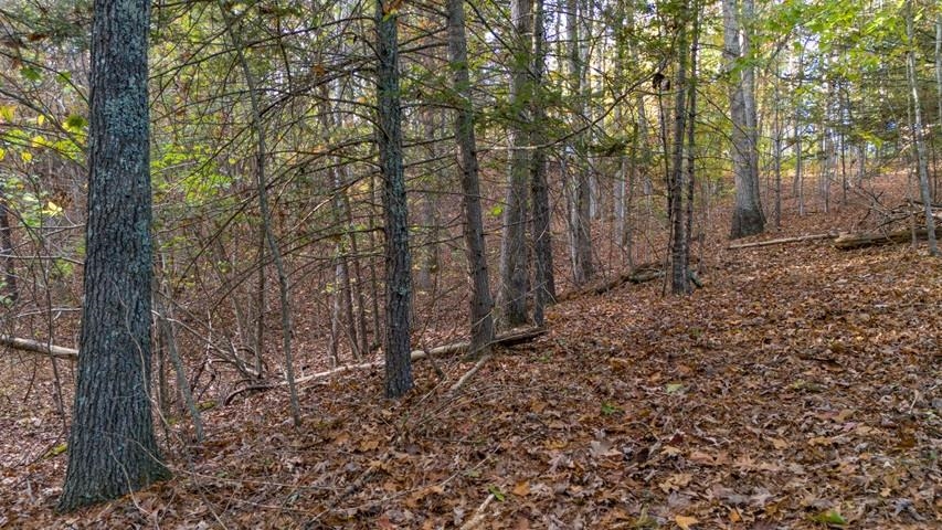 Tbd Winding Way Pulaski VA 24301