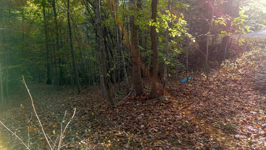 Tbd Winding Way Pulaski VA 24301