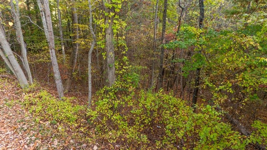 Tbd Winding Way Pulaski VA 24301