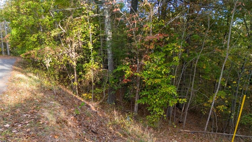 Tbd Winding Way Pulaski VA 24301