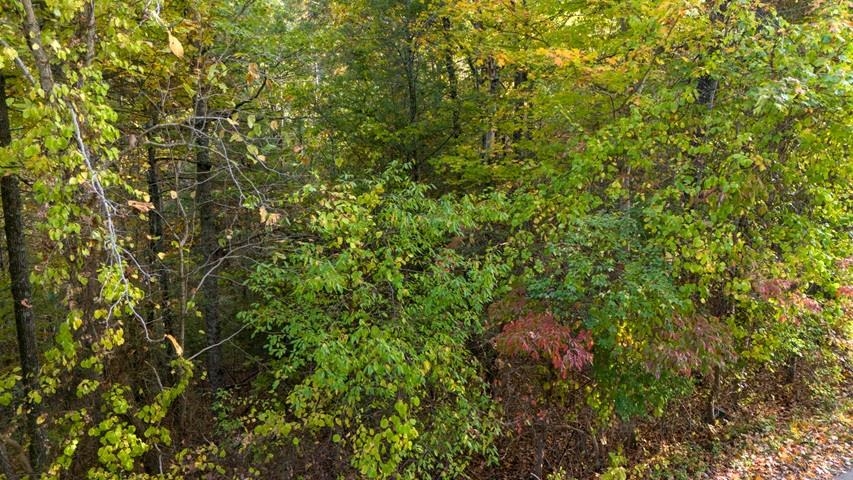 Tbd Winding Way Pulaski VA 24301