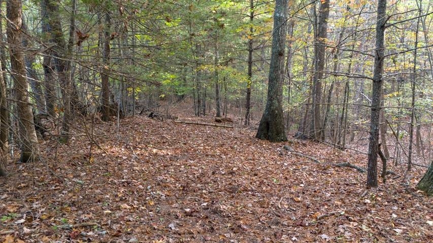 Tbd Winding Way Pulaski VA 24301