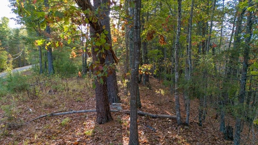 Tbd Winding Way Pulaski VA 24301