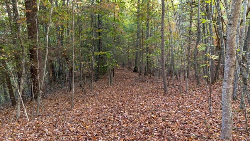 Tbd Winding Way Pulaski VA 24301