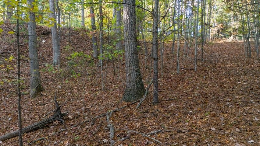 Tbd Winding Way Pulaski VA 24301