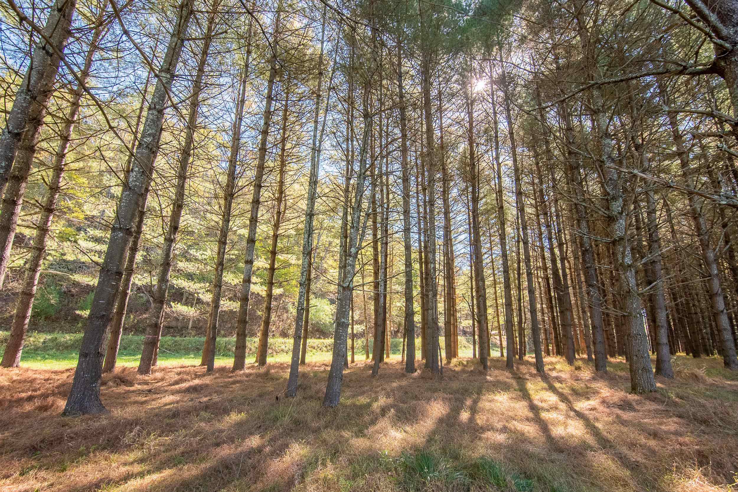 Lot 2 Old Boyer Ferry Road Galax VA 24333