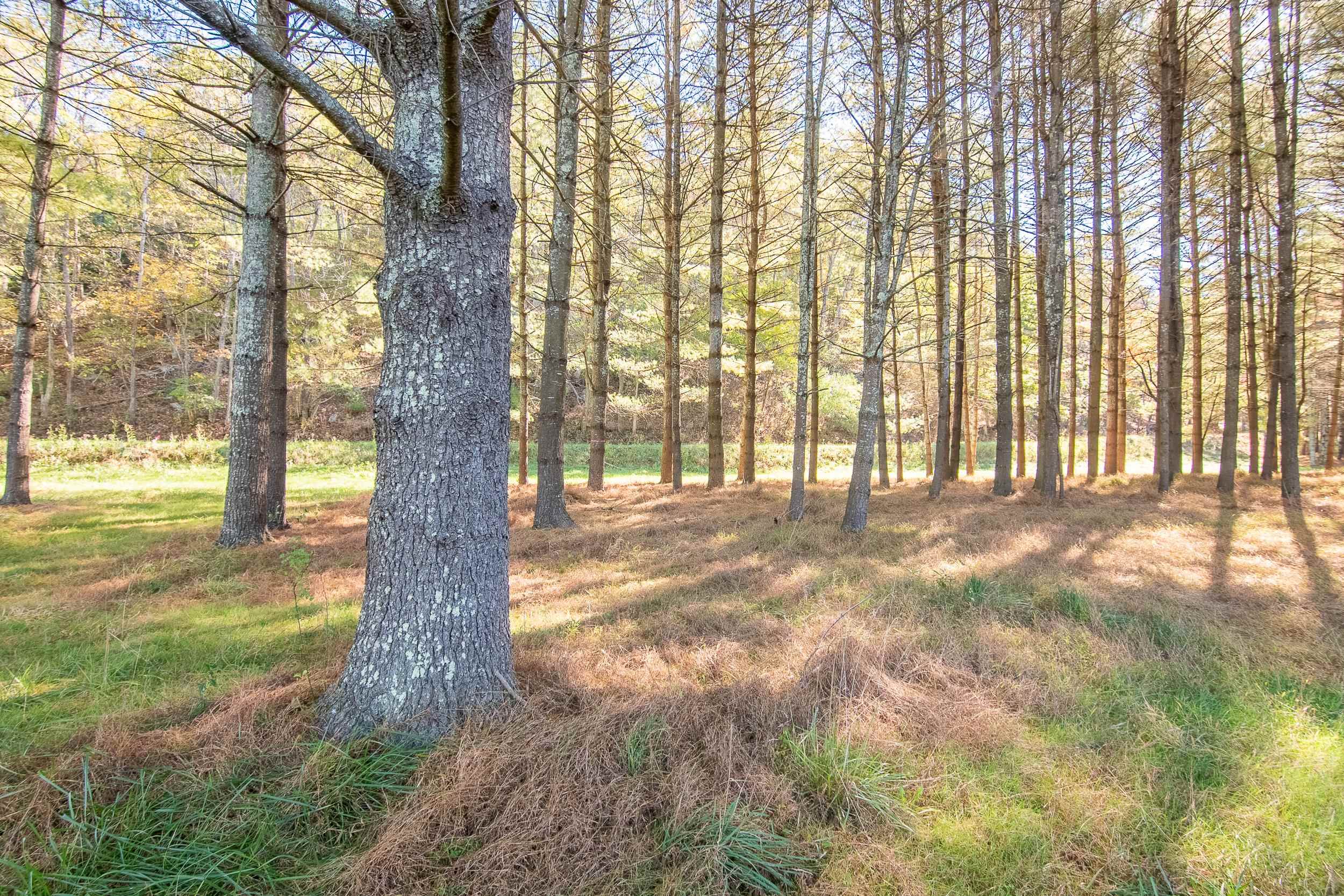 Lot 2 Old Boyer Ferry Road Galax VA 24333