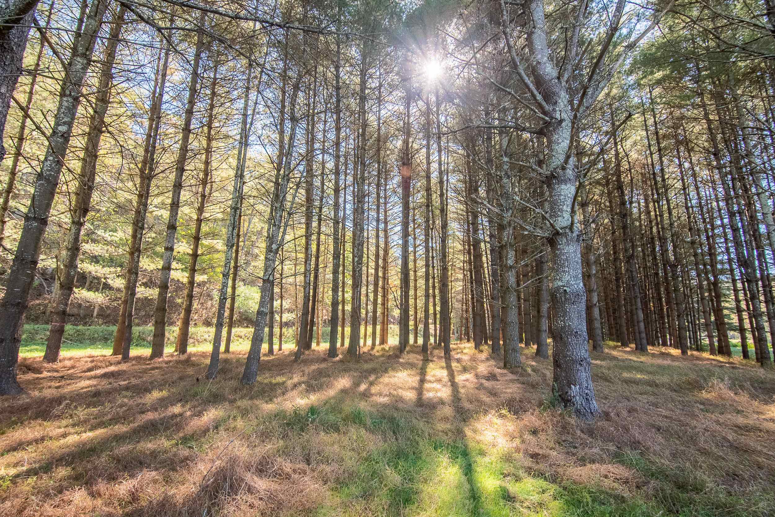 Lot 2 Old Boyer Ferry Road Galax VA 24333