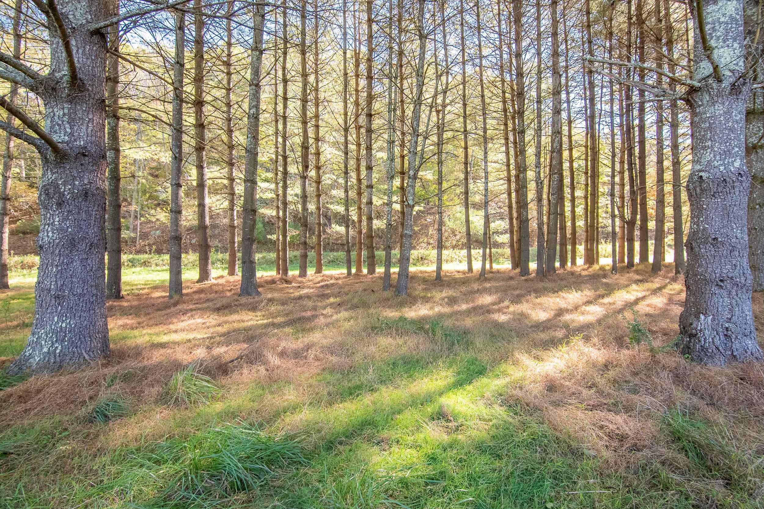 Lot 2 Old Boyer Ferry Road Galax VA 24333