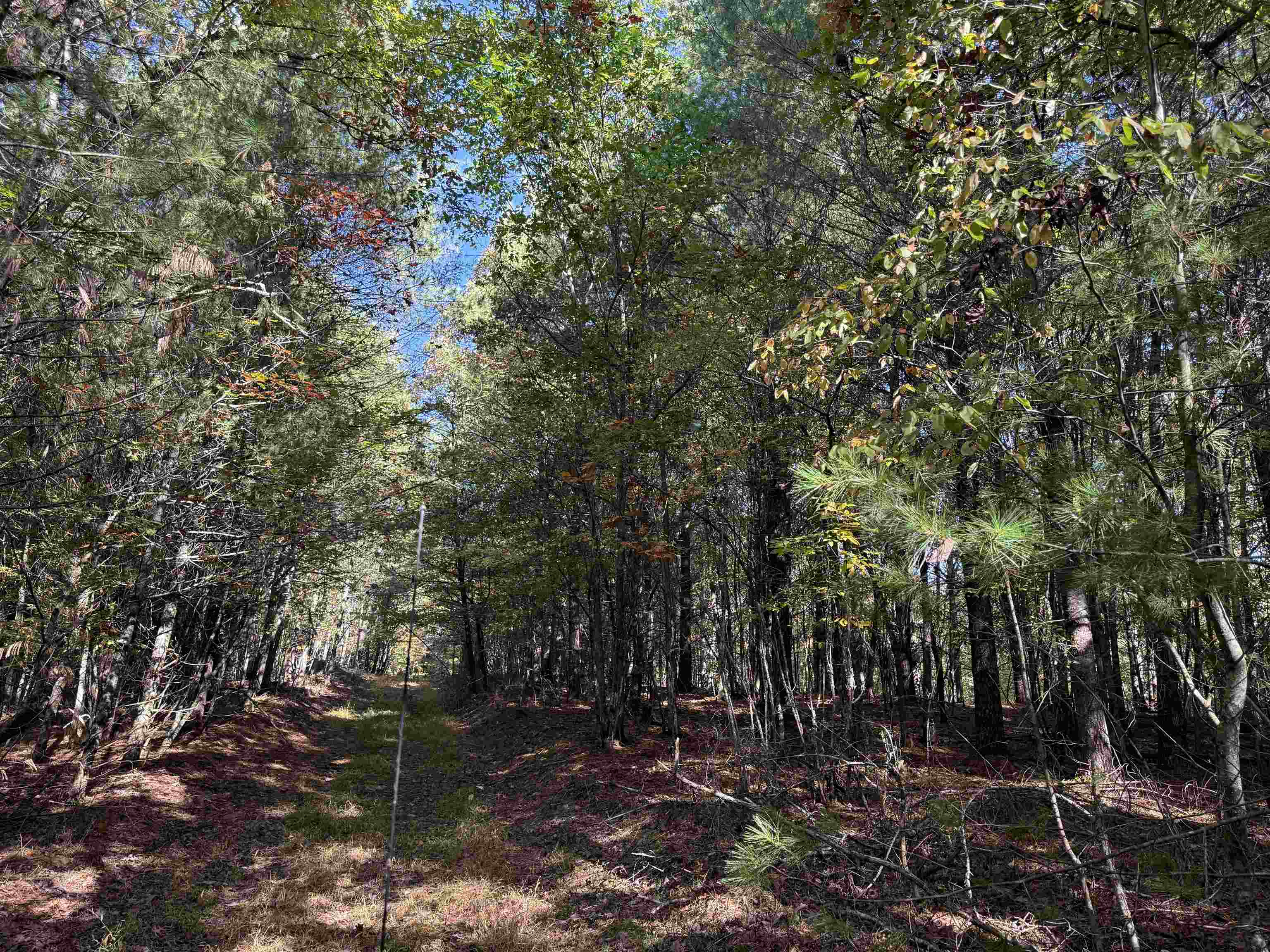 Tbd Gunton Park Road Pulaski VA 24301