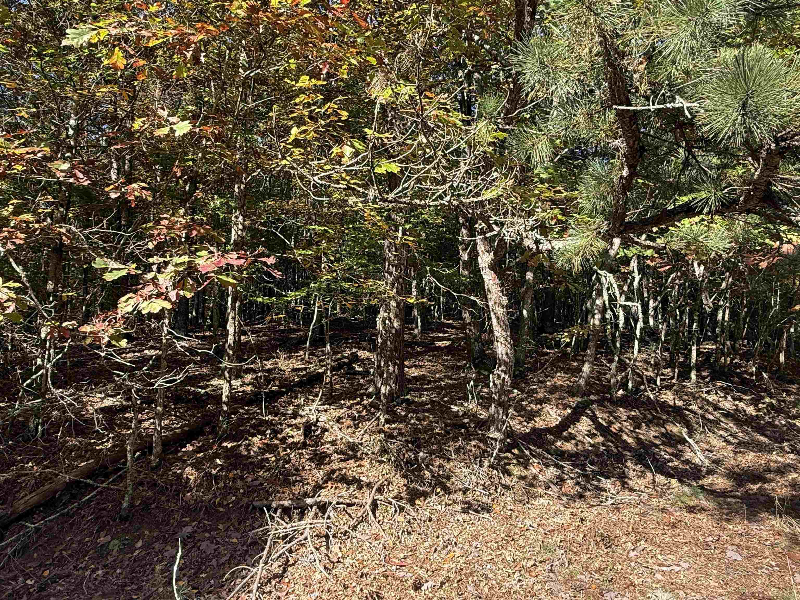 Tbd Gunton Park Road Pulaski VA 24301