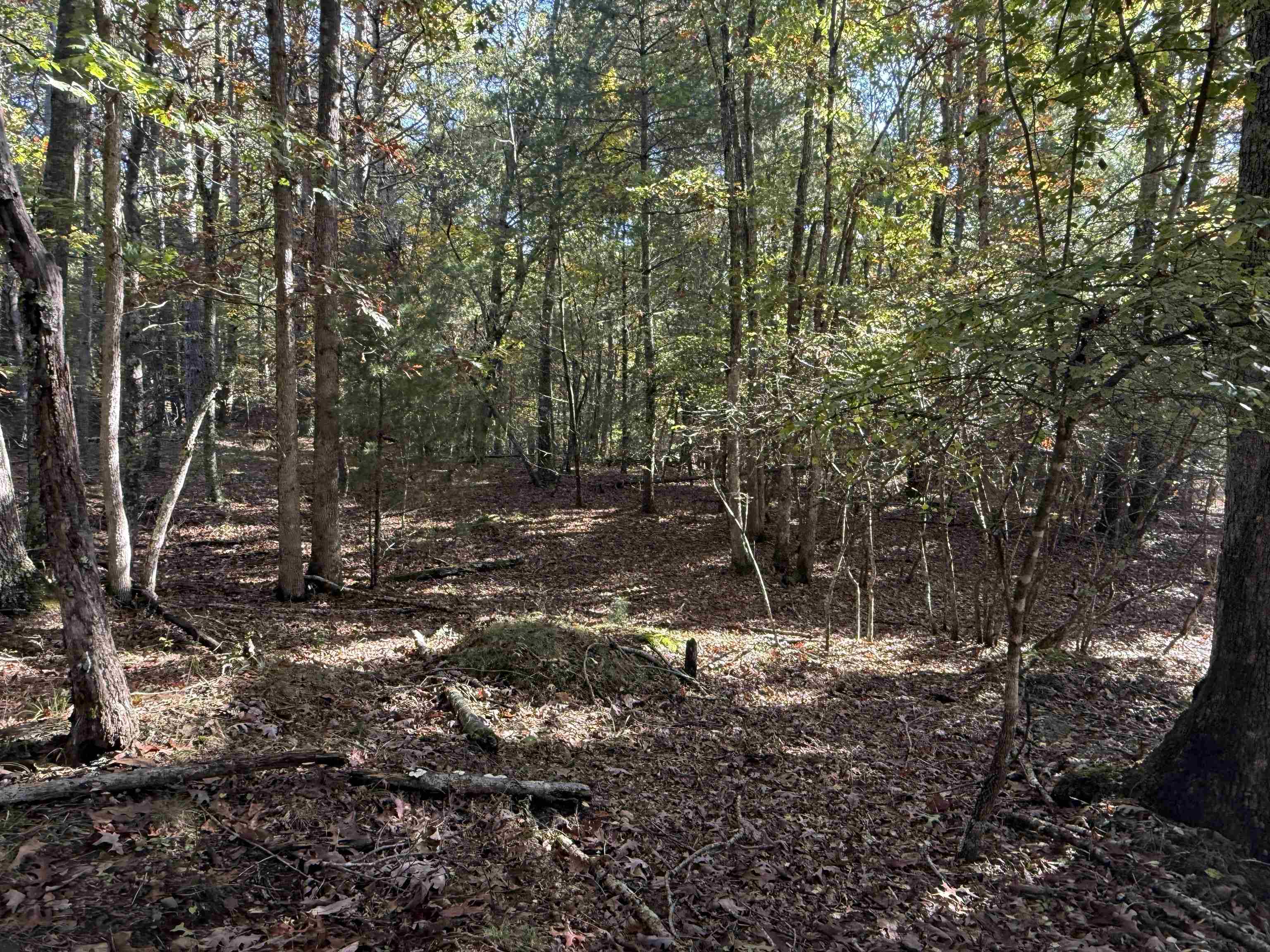 Tbd Gunton Park Road Pulaski VA 24301